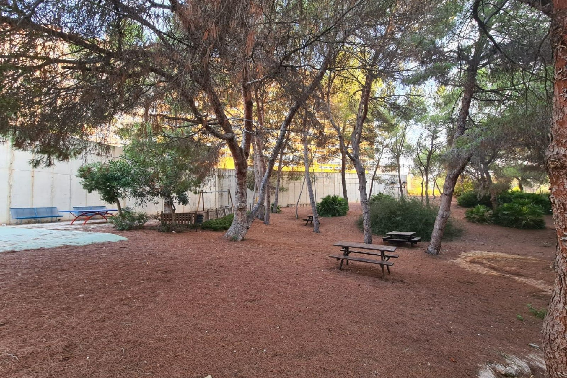 A Vendre - Apartamento -
Orihuela Costa - Campoamor