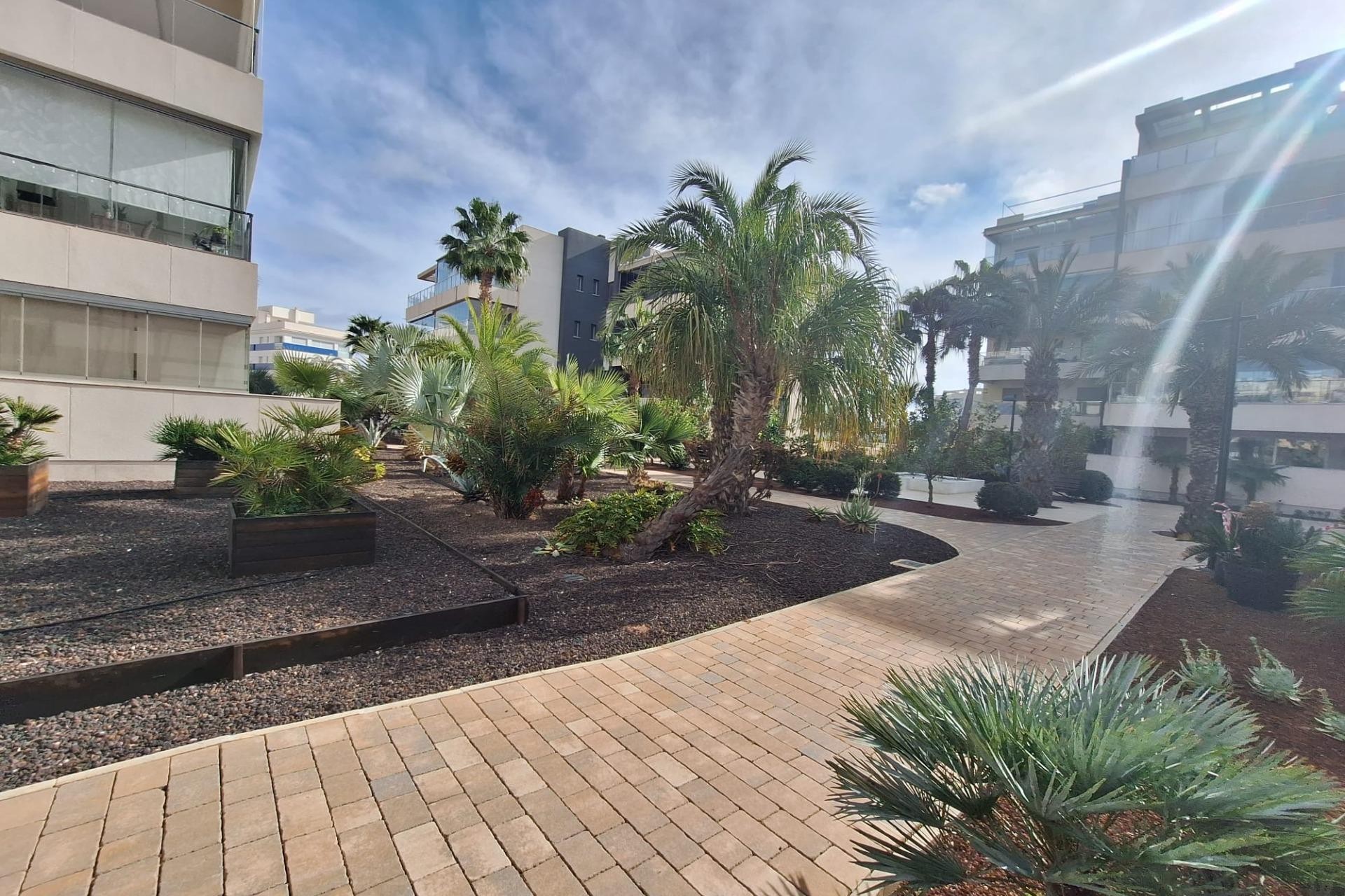 A Vendre - Apartamento -
Orihuela Costa - Los Dolses