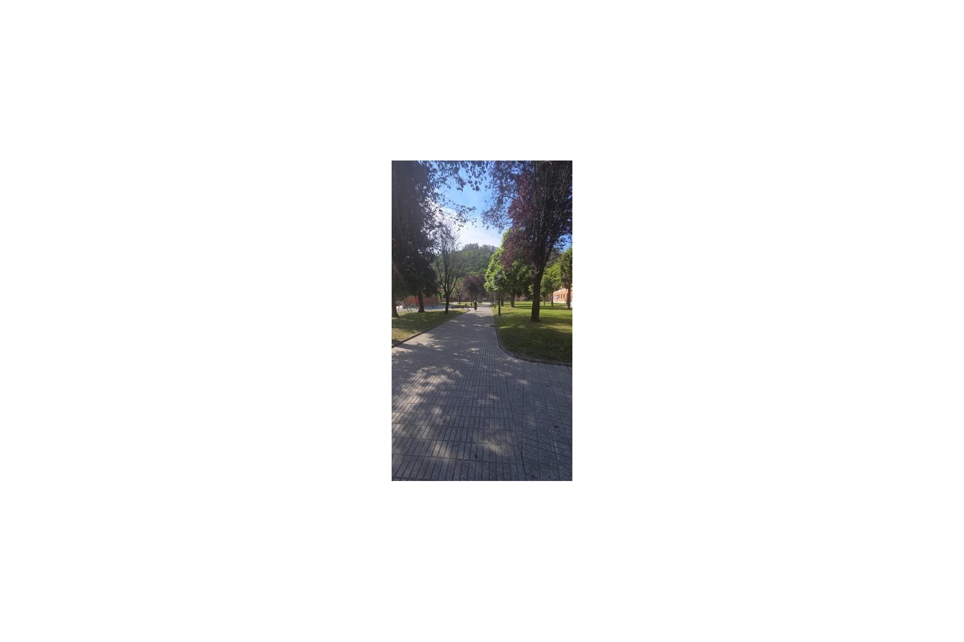 A Vendre - Apartamento -
Oviedo - Las rozas