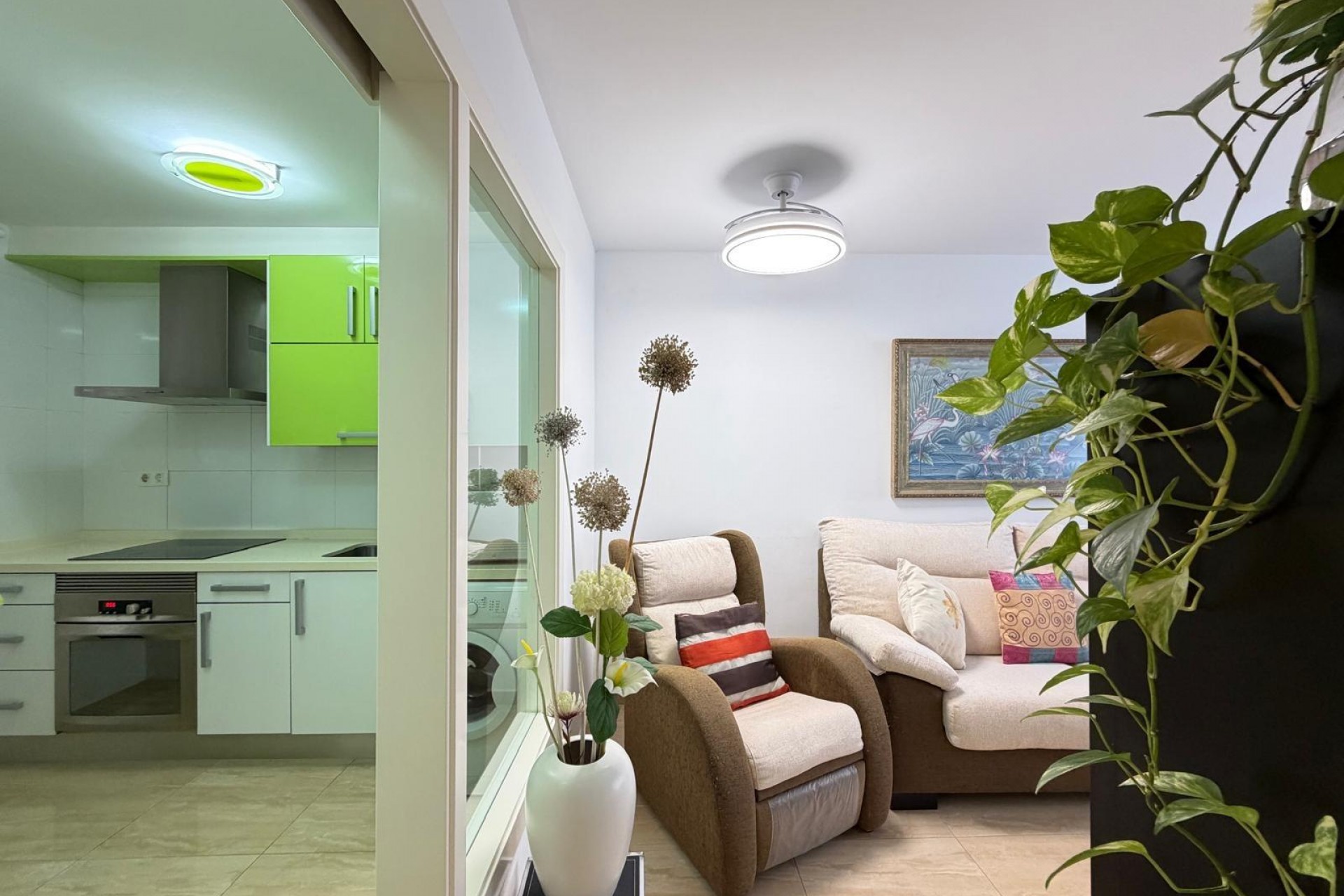 A Vendre - Apartamento -
Torrevieja - Paseo maritimo