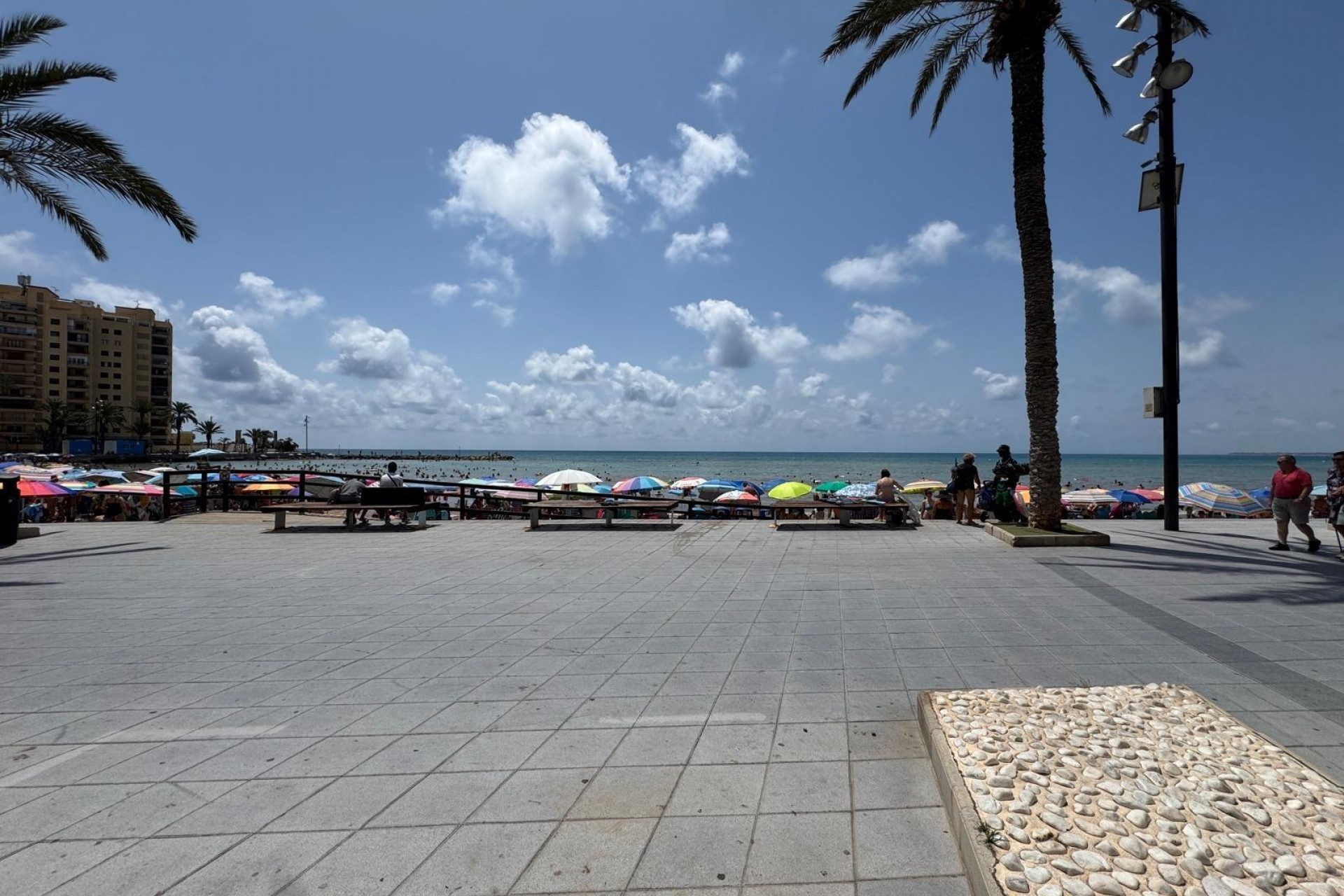 A Vendre - Apartamento -
Torrevieja - Playa del cura