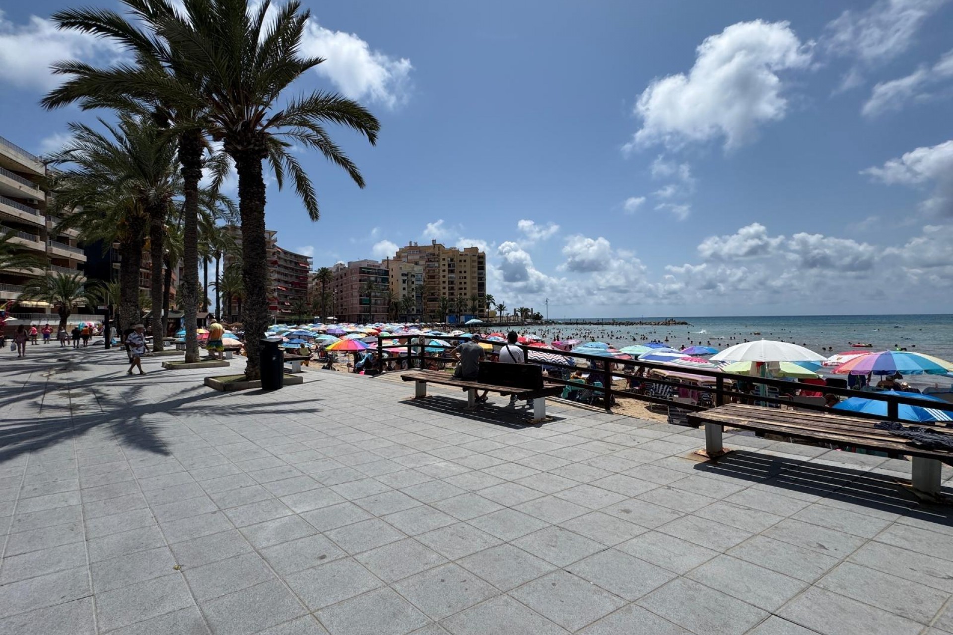 A Vendre - Apartamento -
Torrevieja - Playa del cura