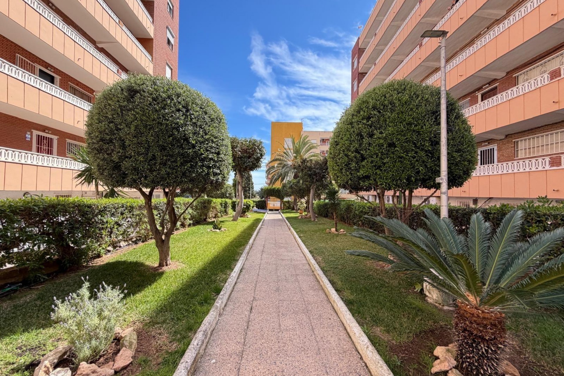 A Vendre - Apartamento -
Torrevieja - Punta Prima