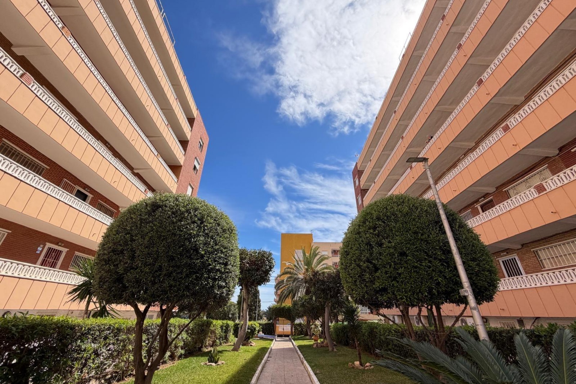 A Vendre - Apartamento -
Torrevieja - Punta Prima