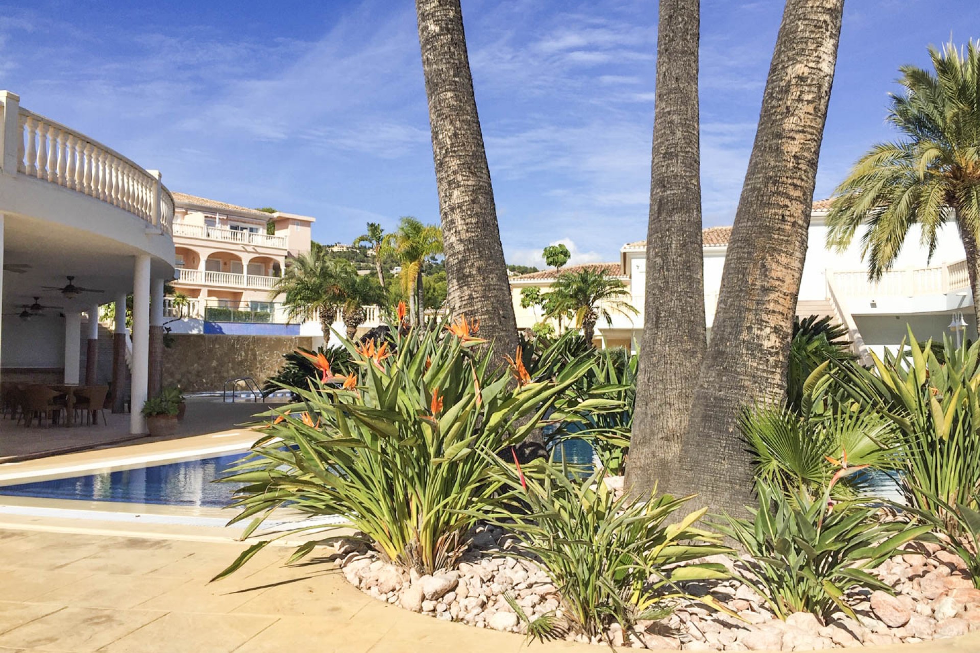 A Vendre - Appartment -
Benissa
