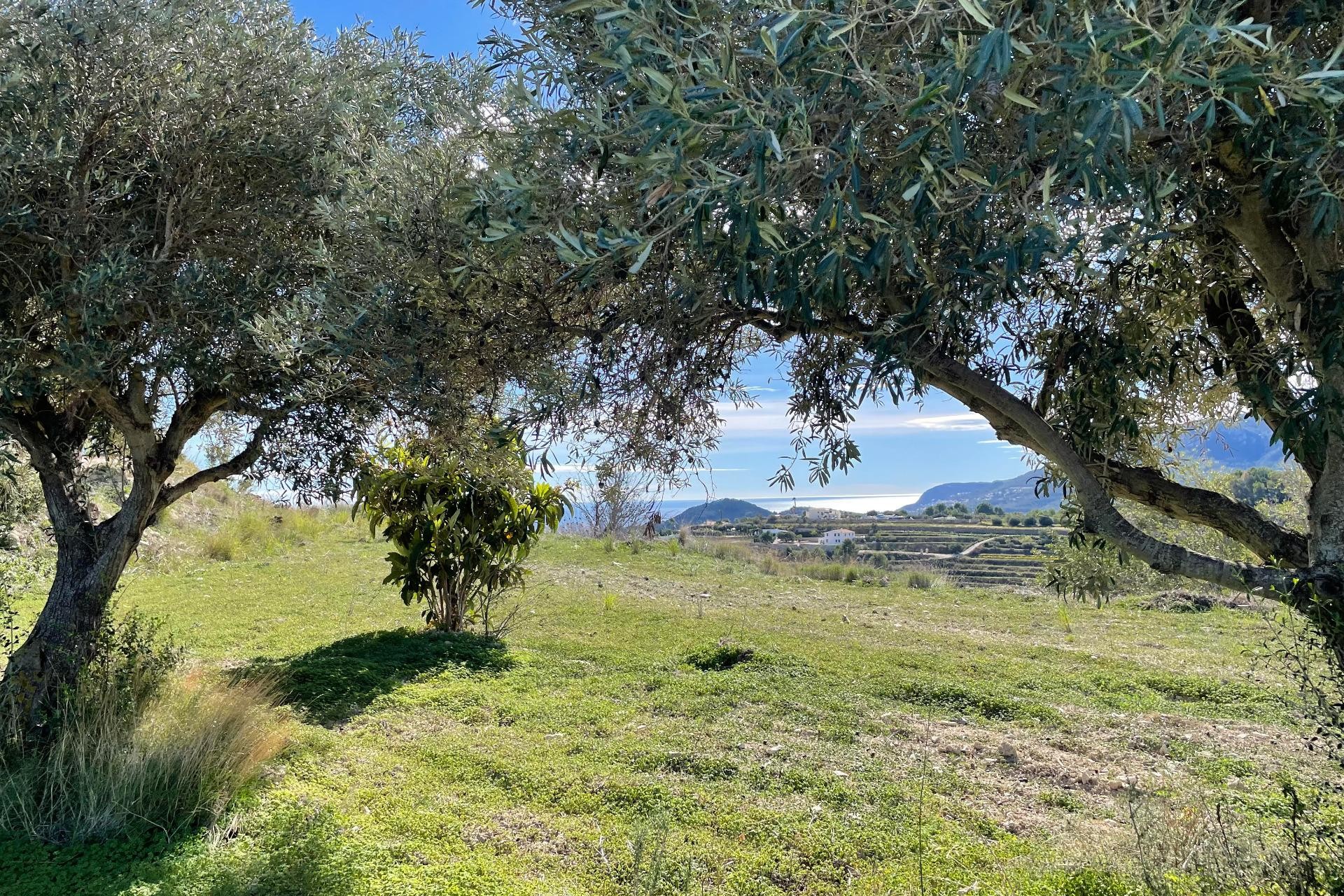 A Vendre -  -
Benissa - Casco Urbano