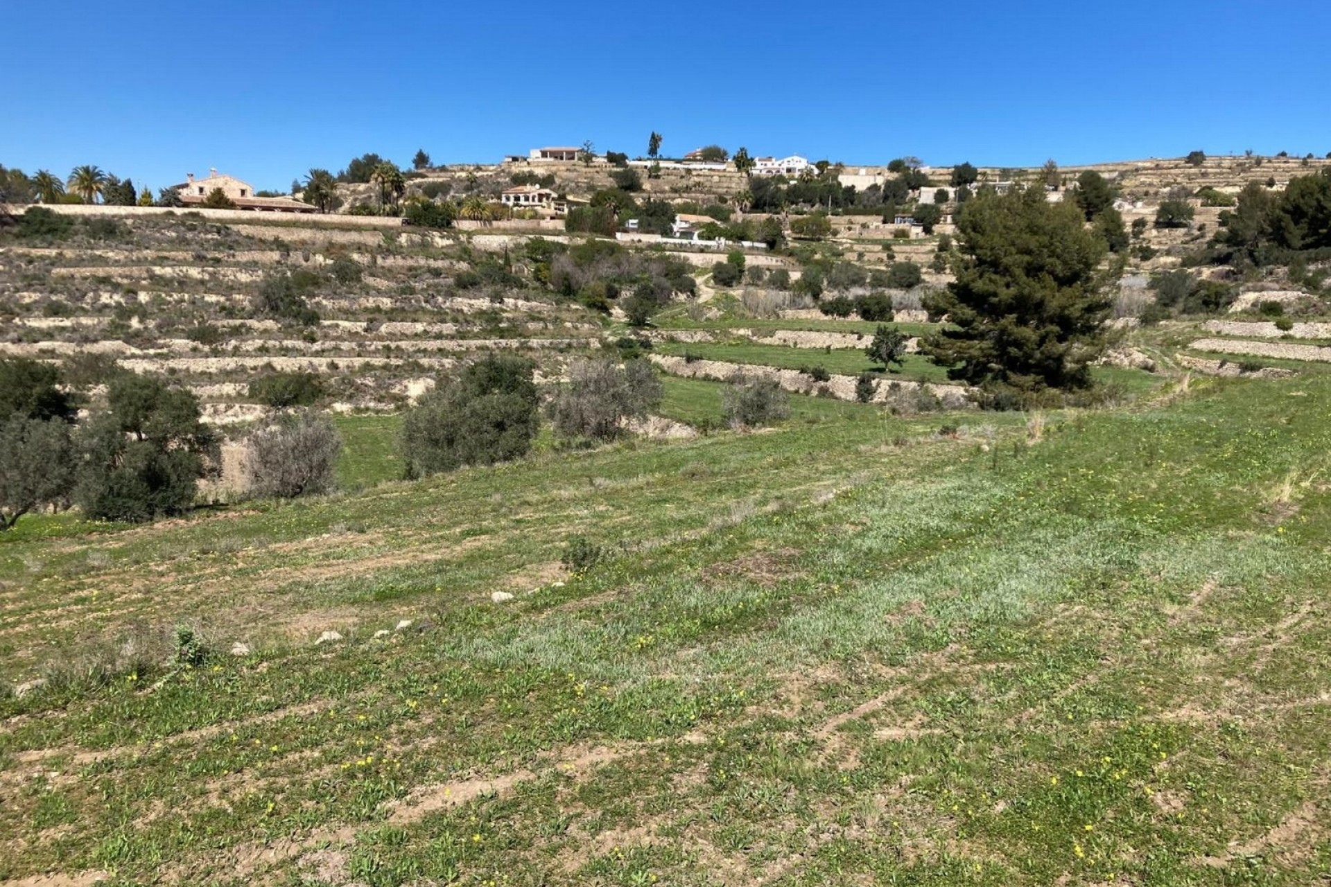 A Vendre -  -
Benissa - Partida Biasner