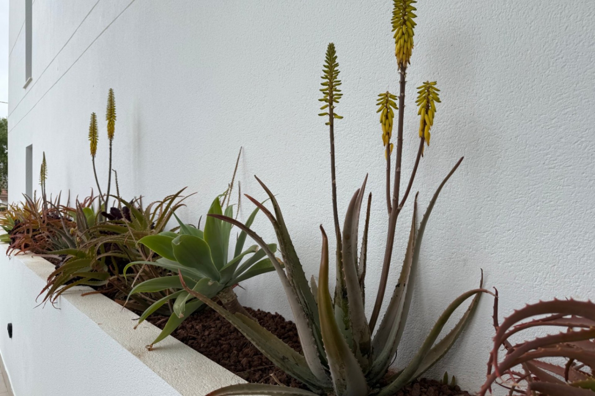 A Vendre -  -
Denia - Les Marines