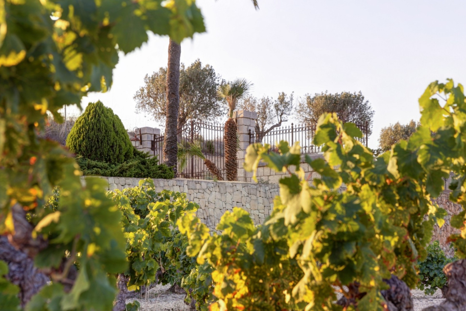 A Vendre - Finca -
Moraira - Campo