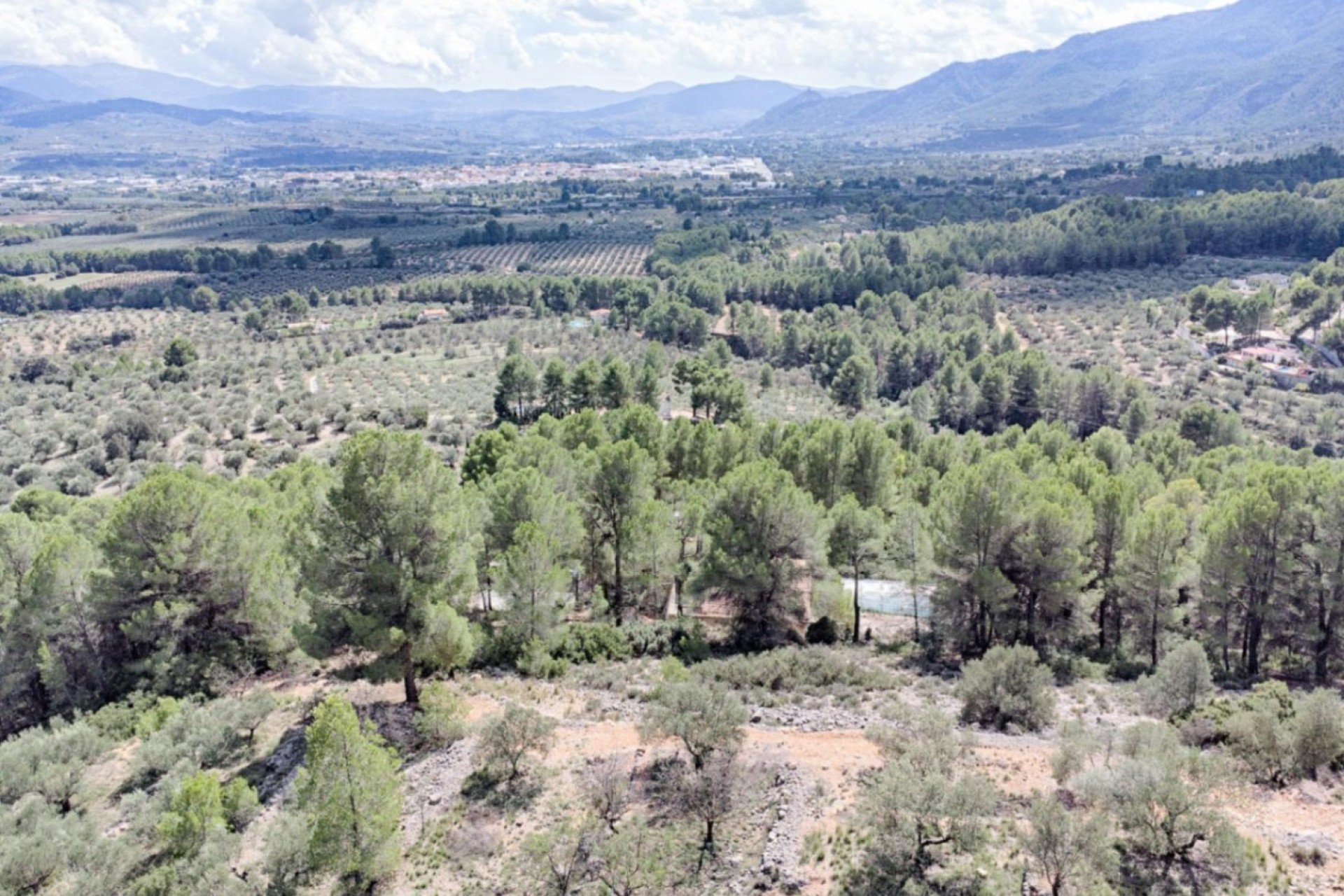 A Vendre - Finca -
Muro d'Alcoi - Turballos