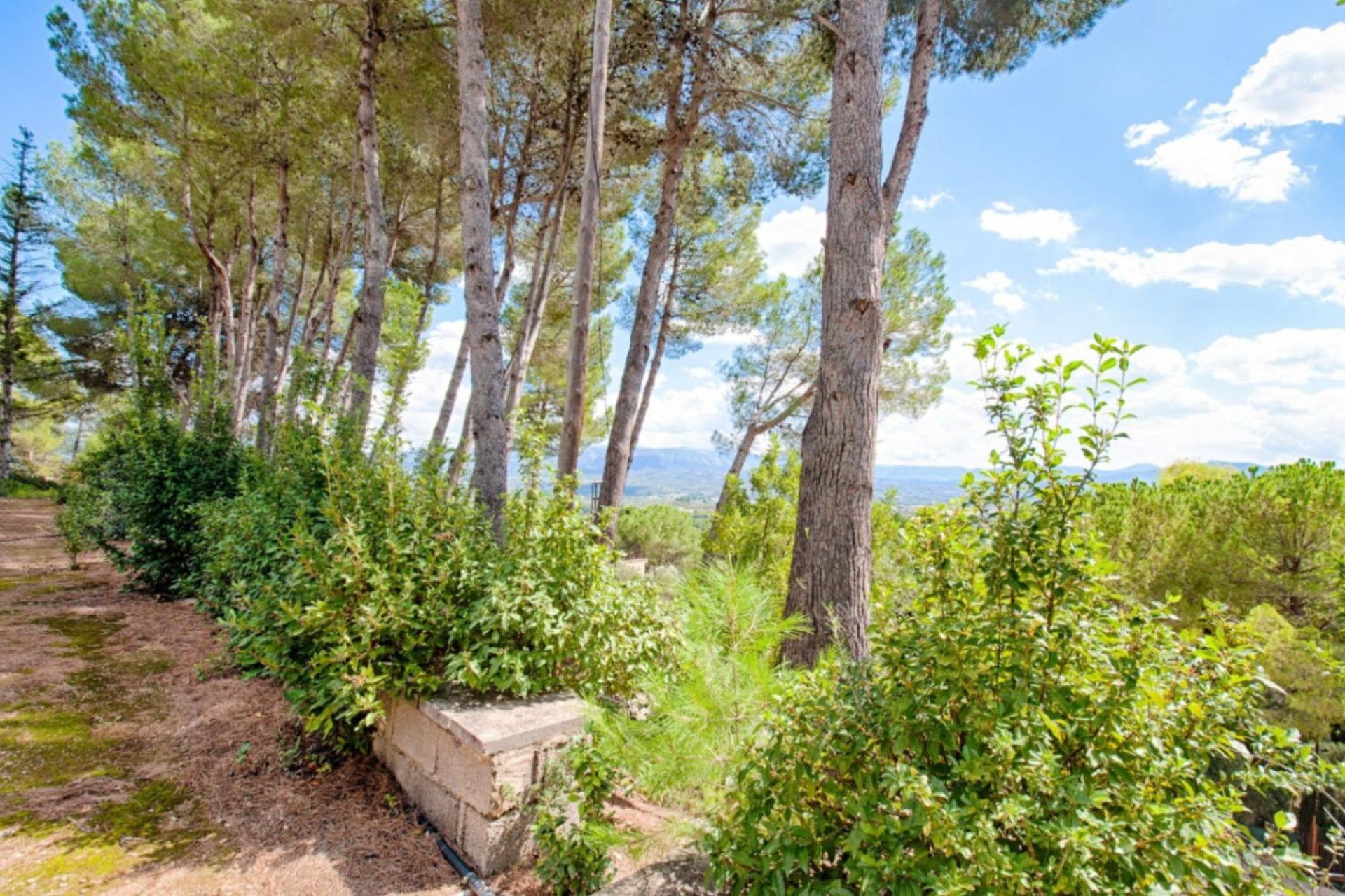 A Vendre - Finca -
Muro d'Alcoi - Turballos