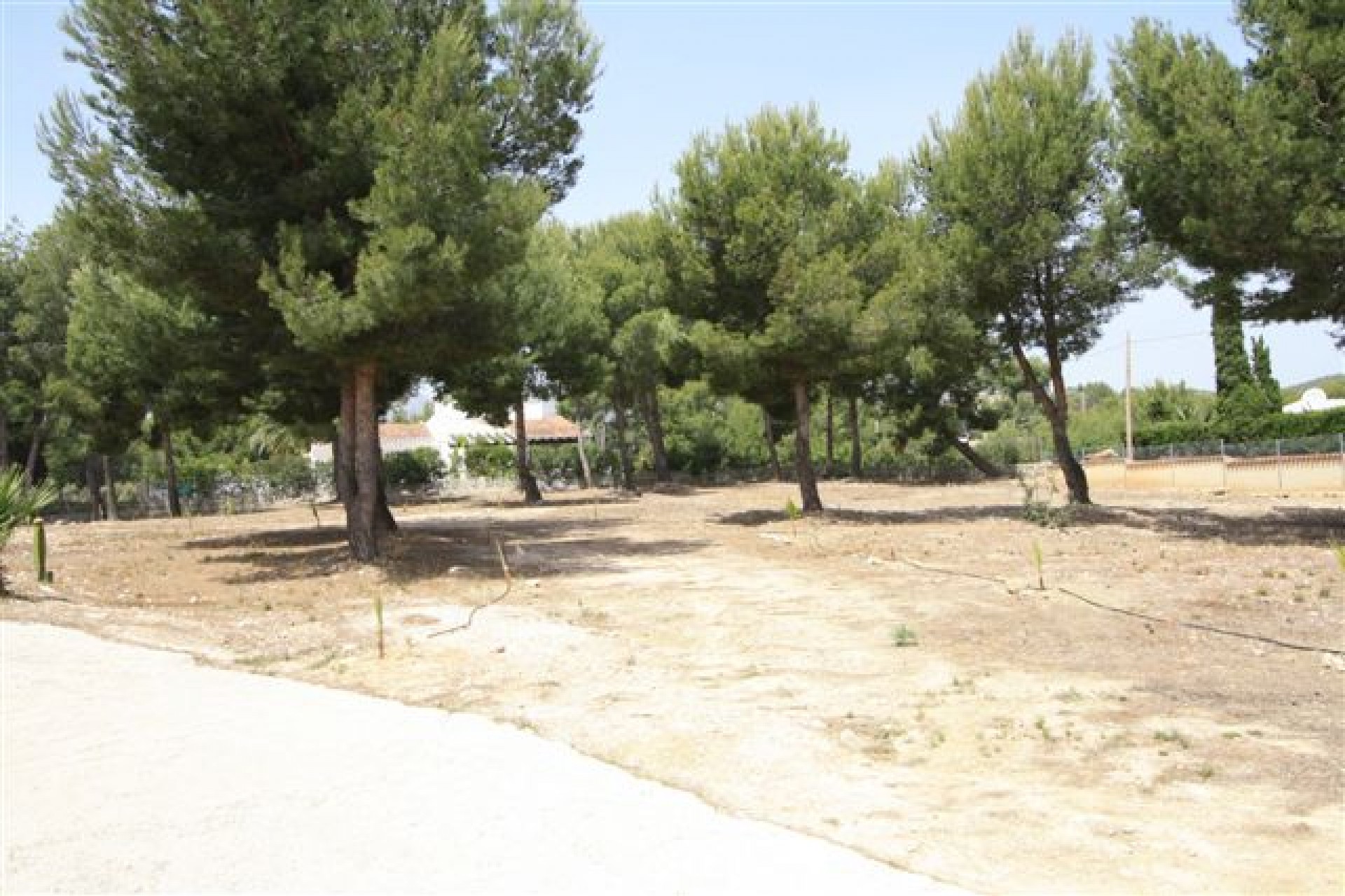 A Vendre - Finca / Propriété rurale -
Alfaz del Pi