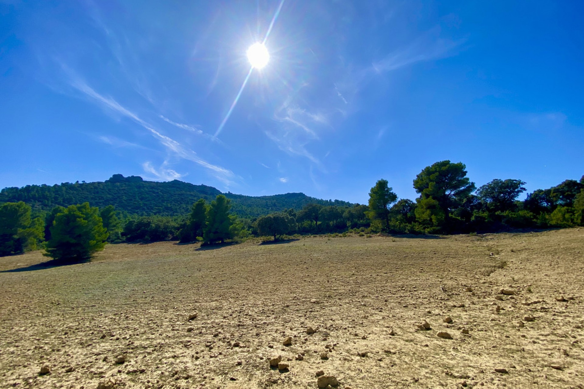 A Vendre - Finca / Propriété rurale -
Ayora - Valencia