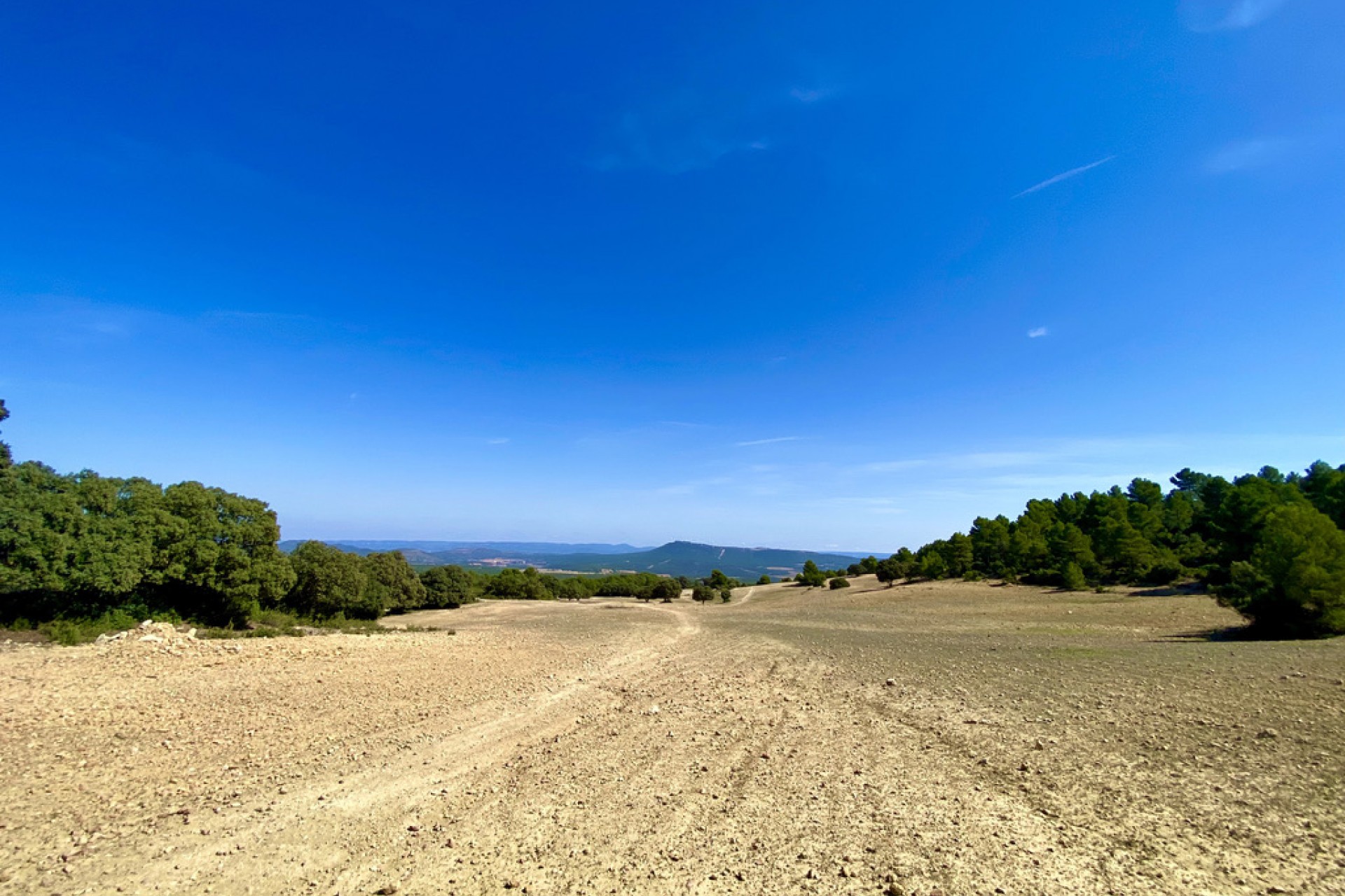 A Vendre - Finca / Propriété rurale -
Ayora - Valencia