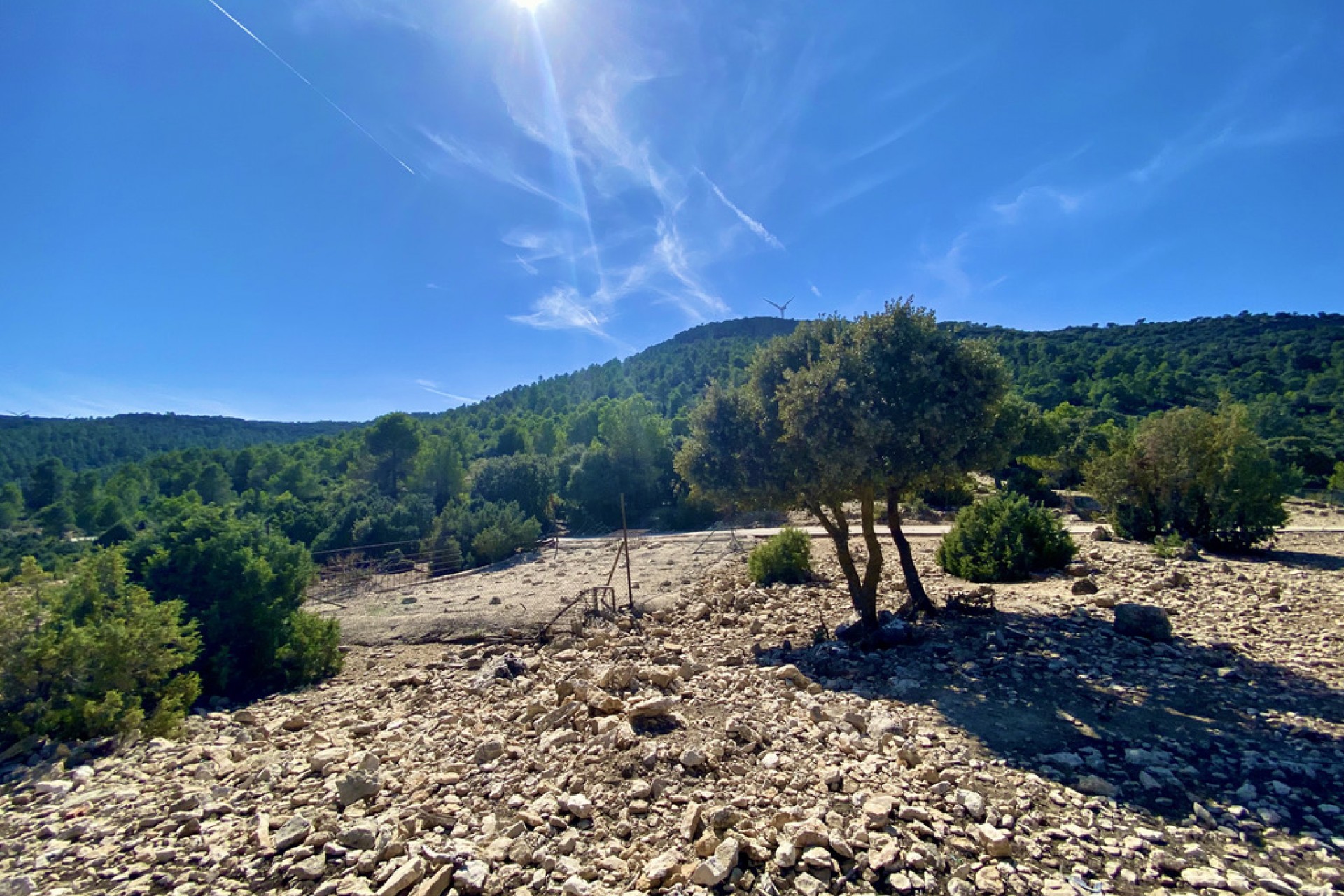 A Vendre - Finca / Propriété rurale -
Ayora - Valencia