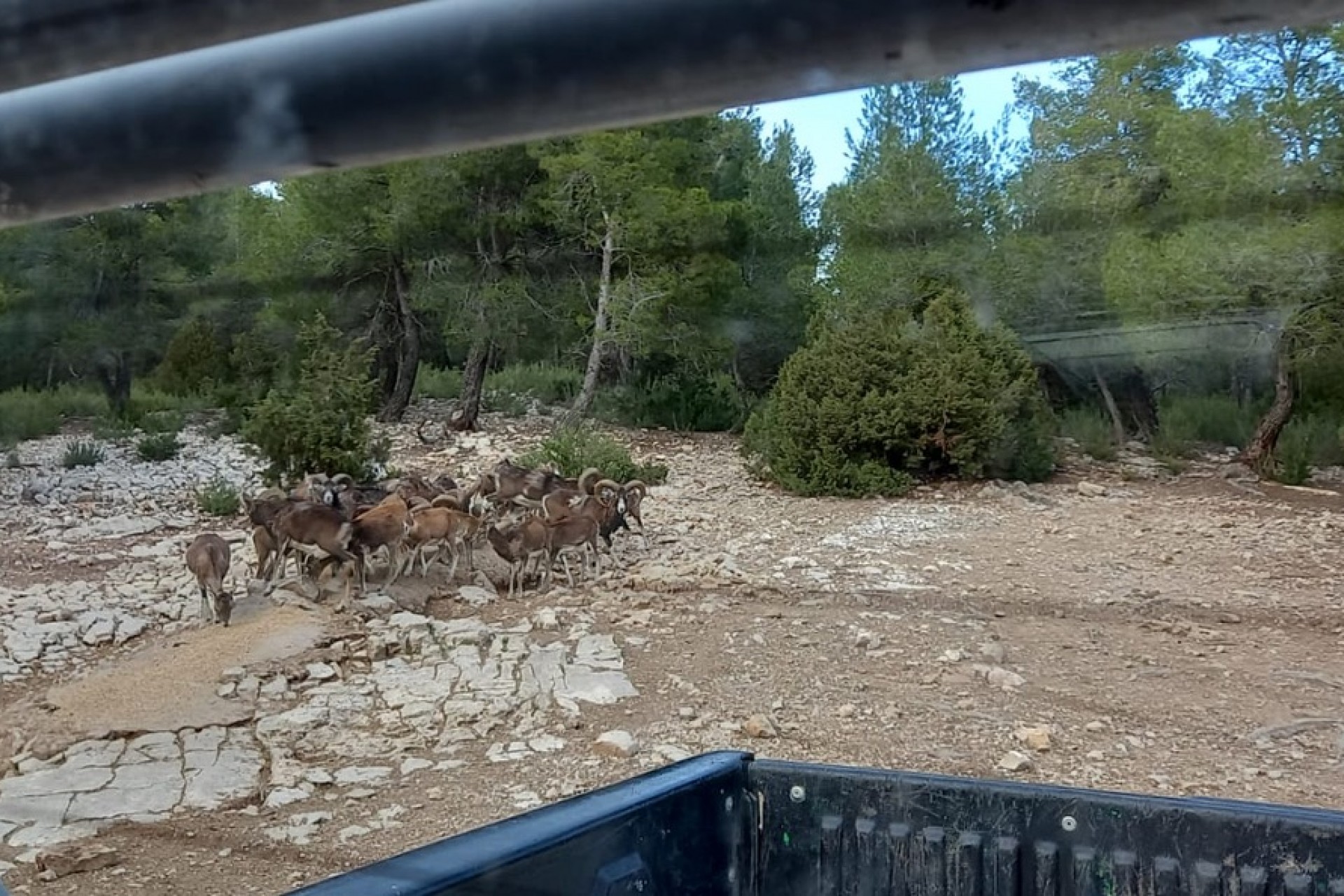 A Vendre - Finca / Propriété rurale -
Ayora - Valencia