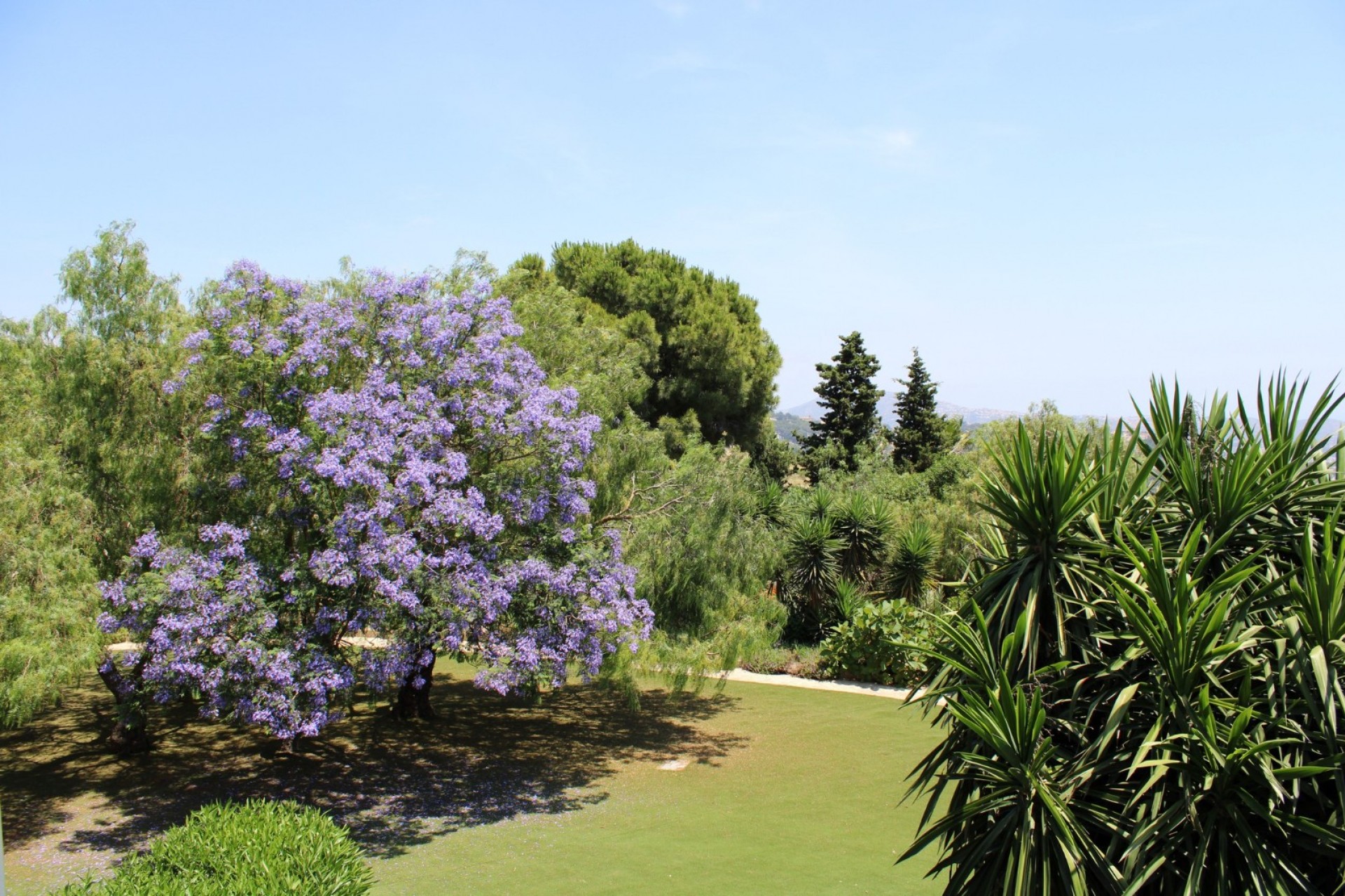 A Vendre - Finca / Propriété rurale -
Benissa - Pedramala