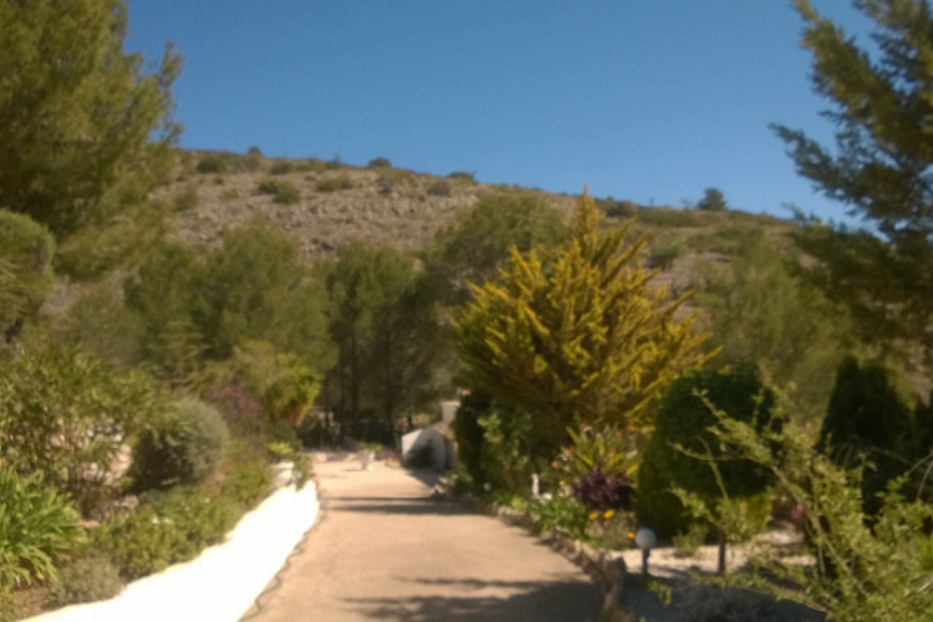A Vendre - Finca / Propriété rurale -
Benissa