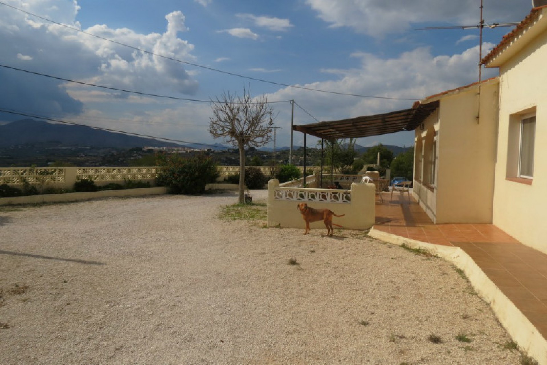 A Vendre - Finca / Propriété rurale -
Benissa