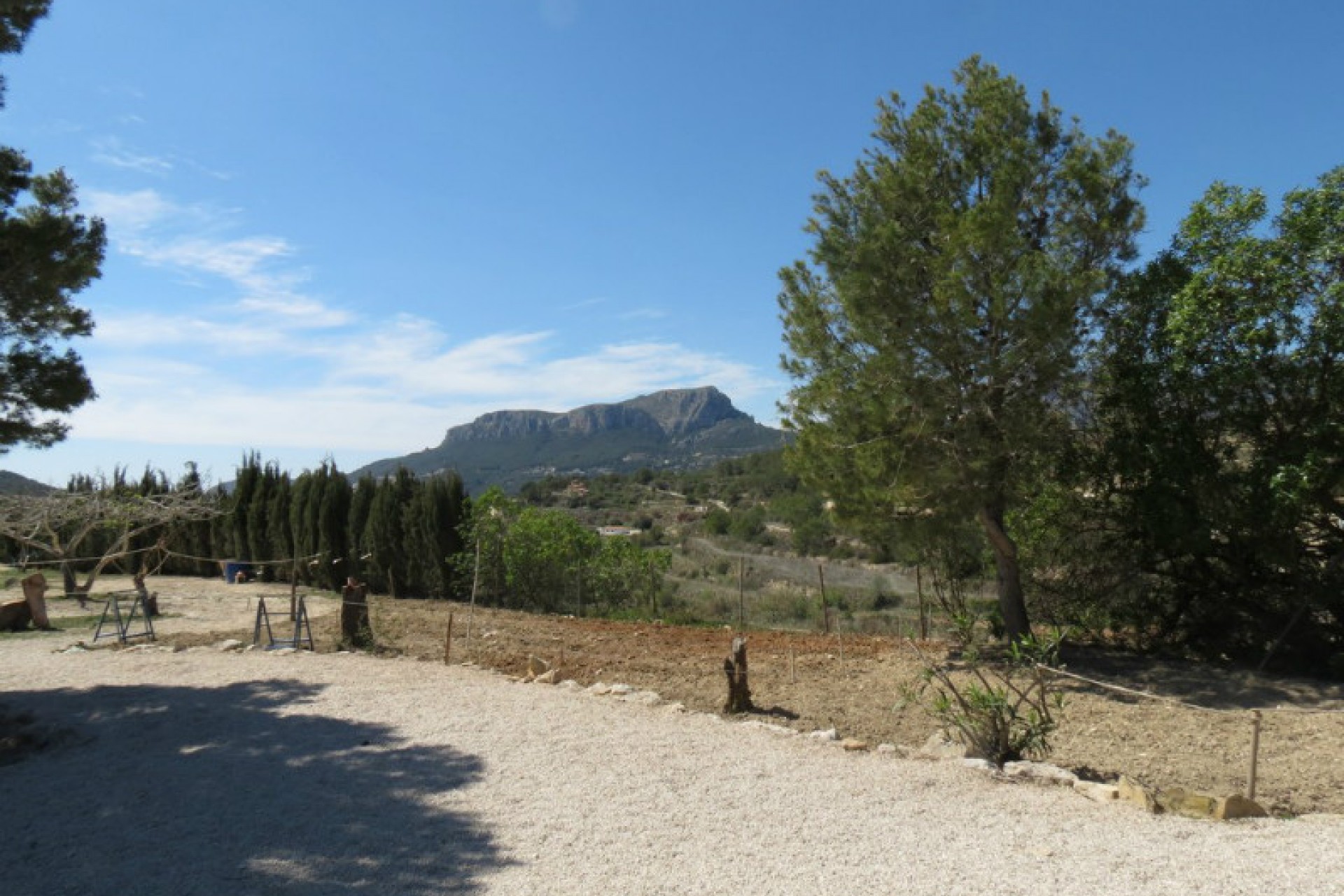 A Vendre - Finca / Propriété rurale -
Benissa