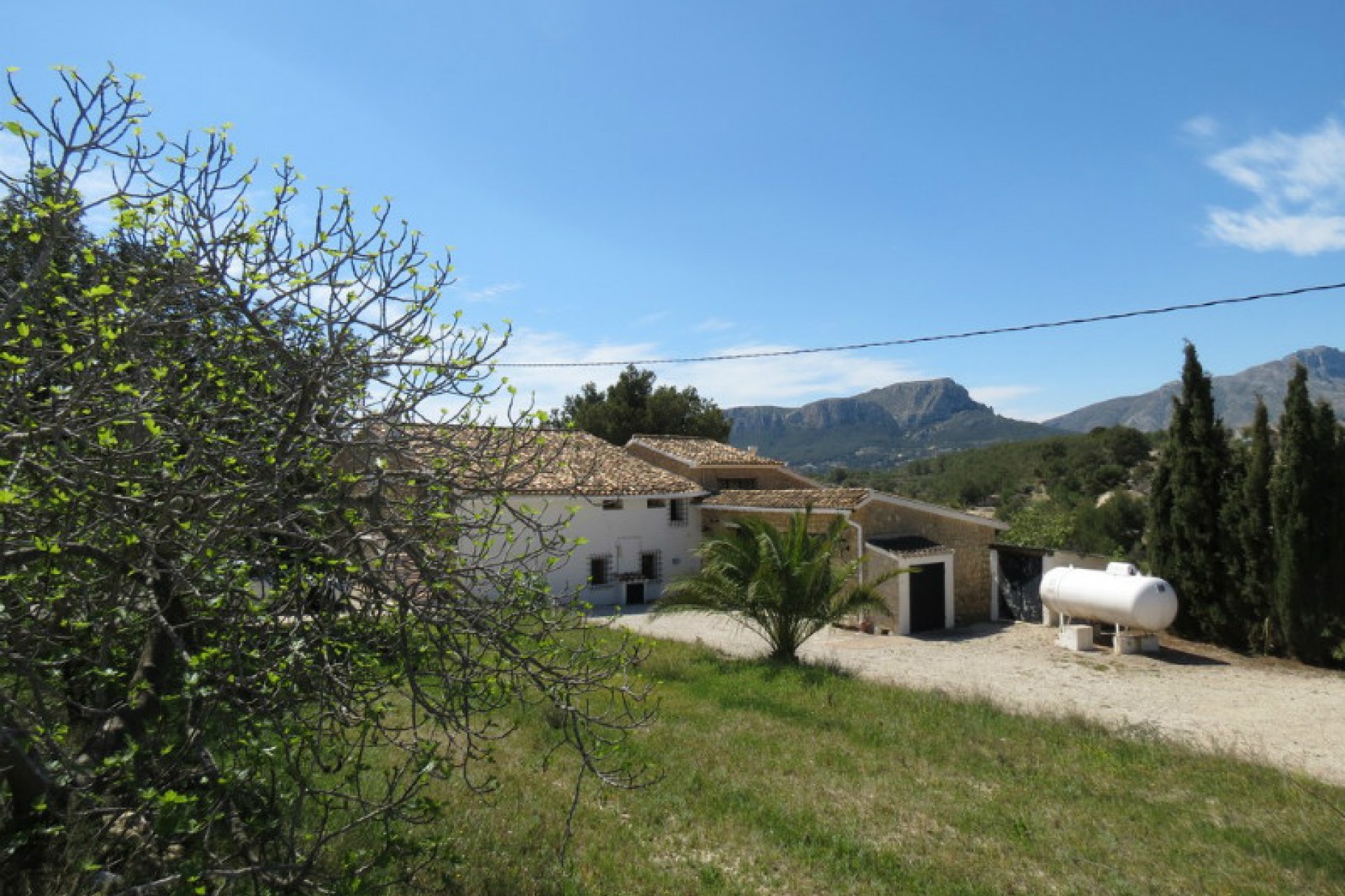A Vendre - Finca / Propriété rurale -
Benissa