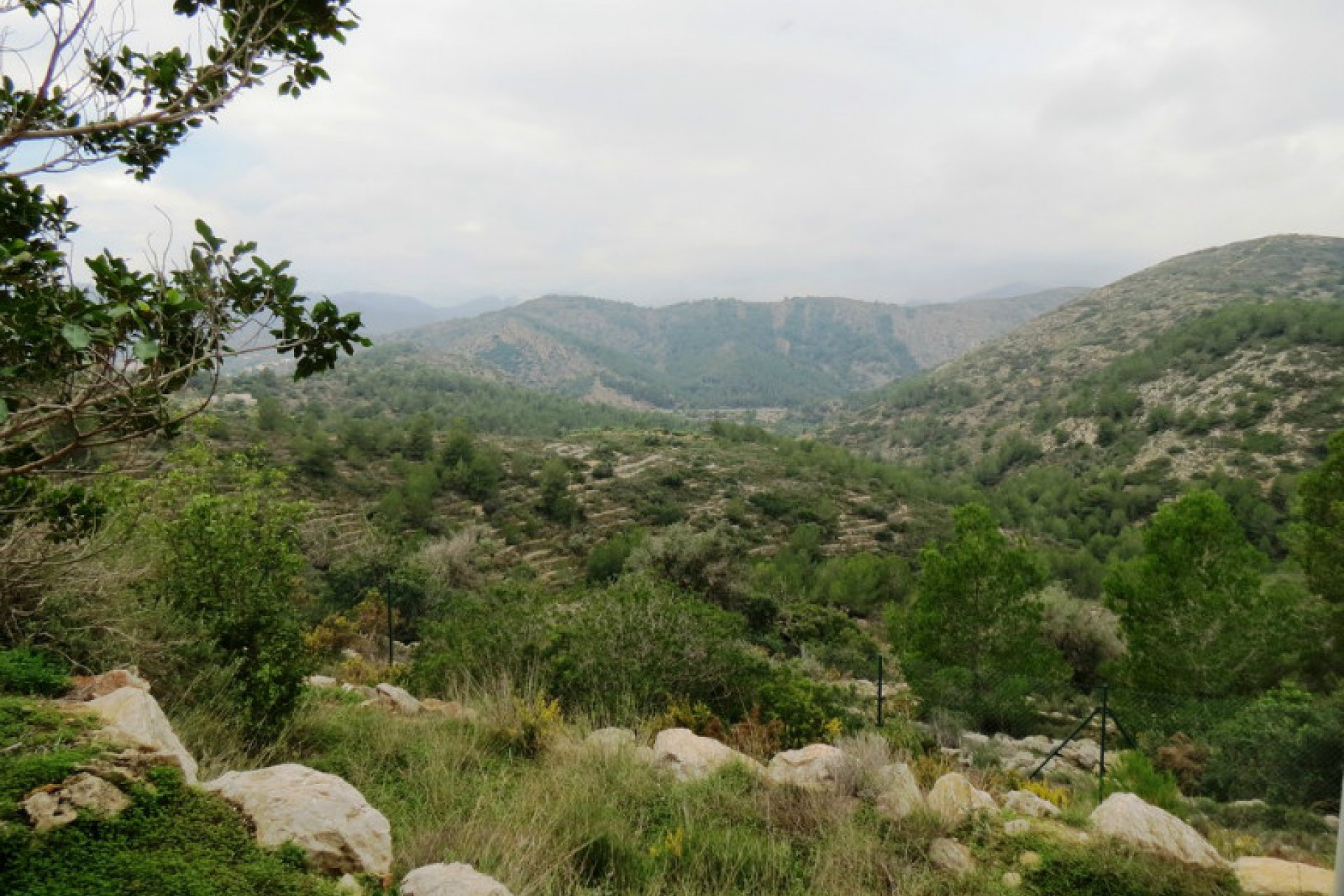 A Vendre - Finca / Propriété rurale -
Benissa