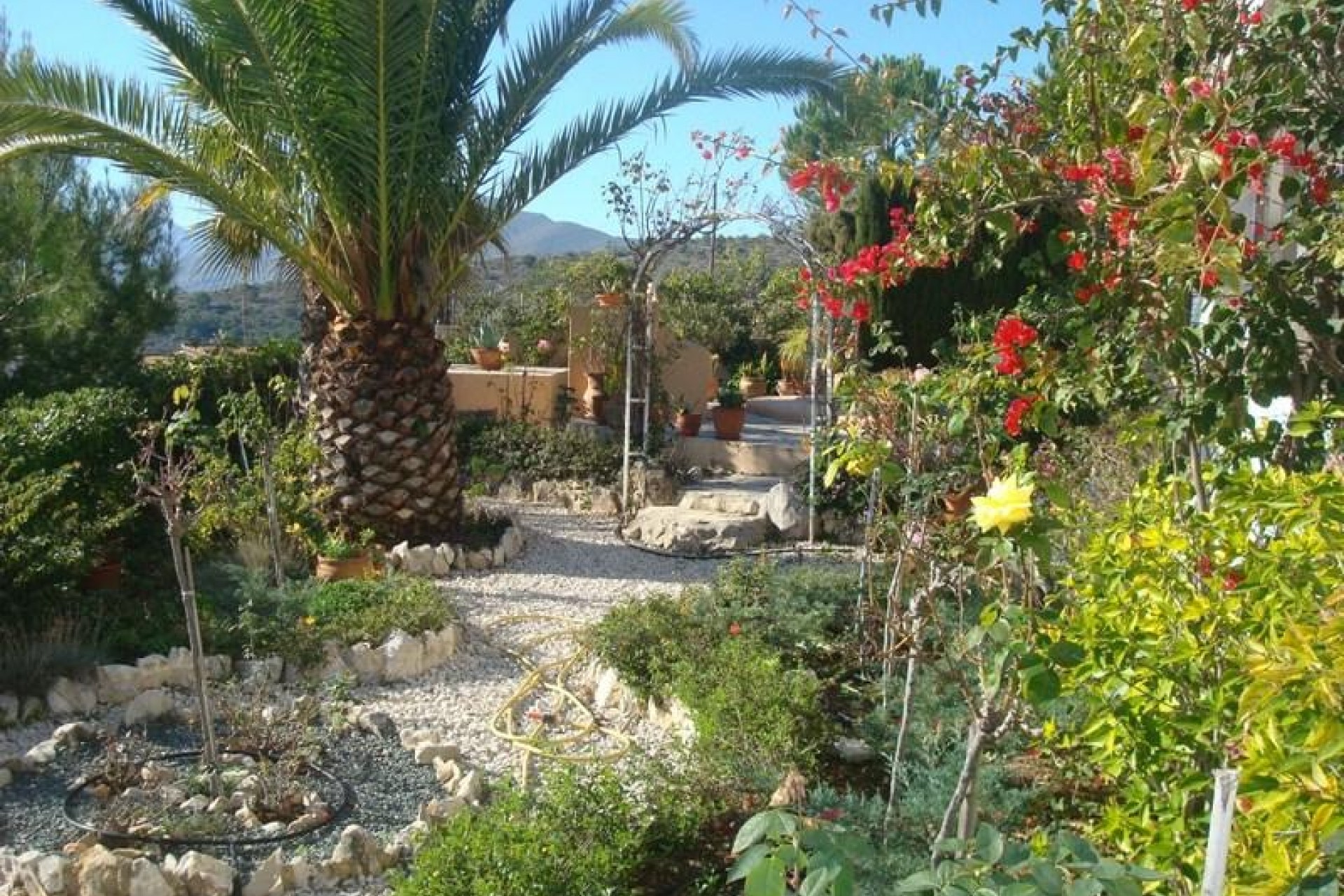 A Vendre - Finca / Propriété rurale -
Benissa