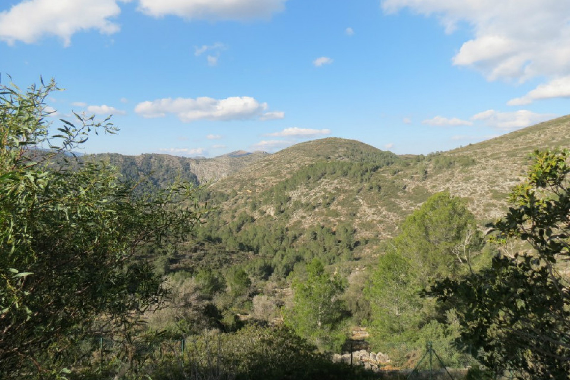 A Vendre - Finca / Propriété rurale -
Benissa