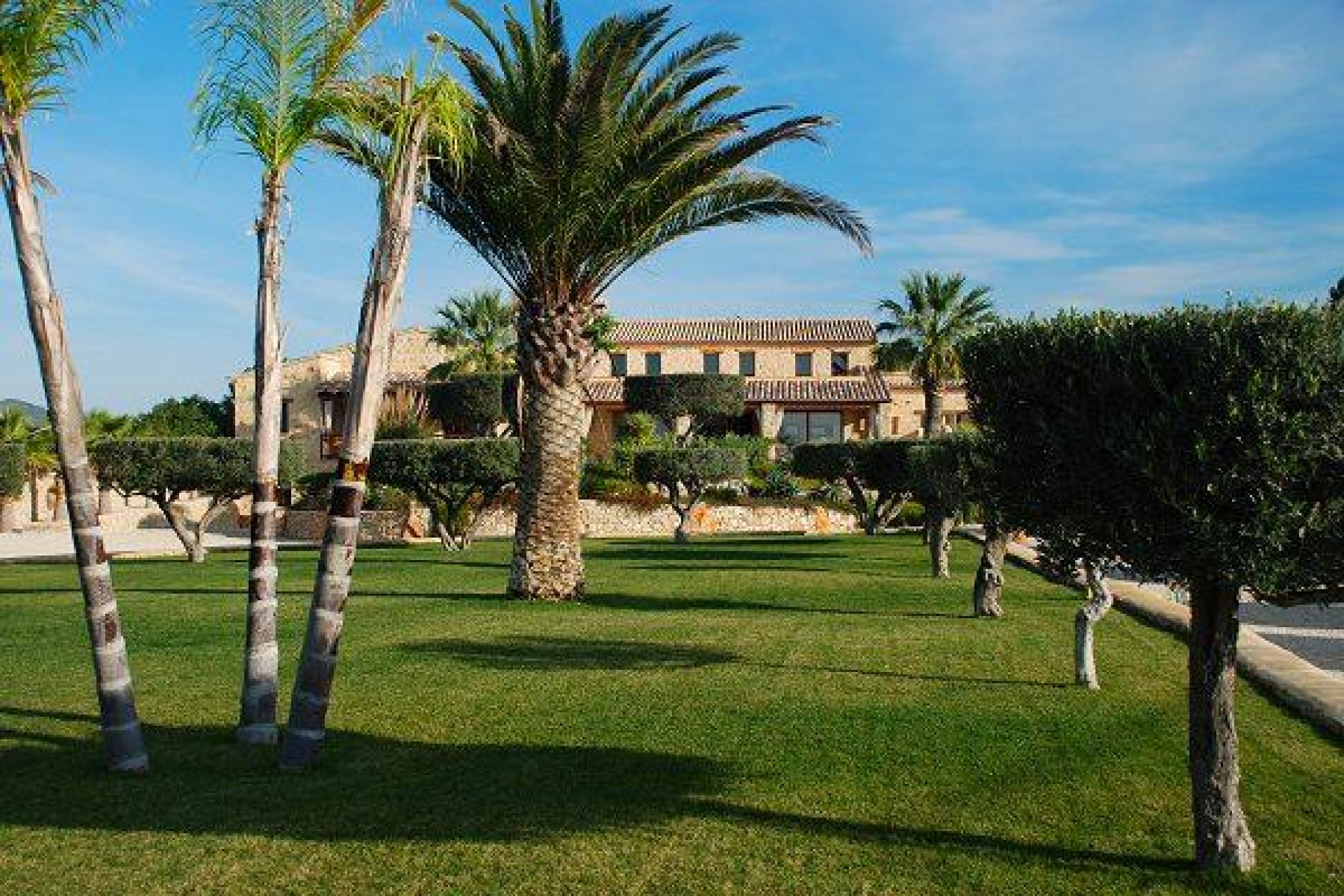 A Vendre - Finca / Propriété rurale -
Benissa
