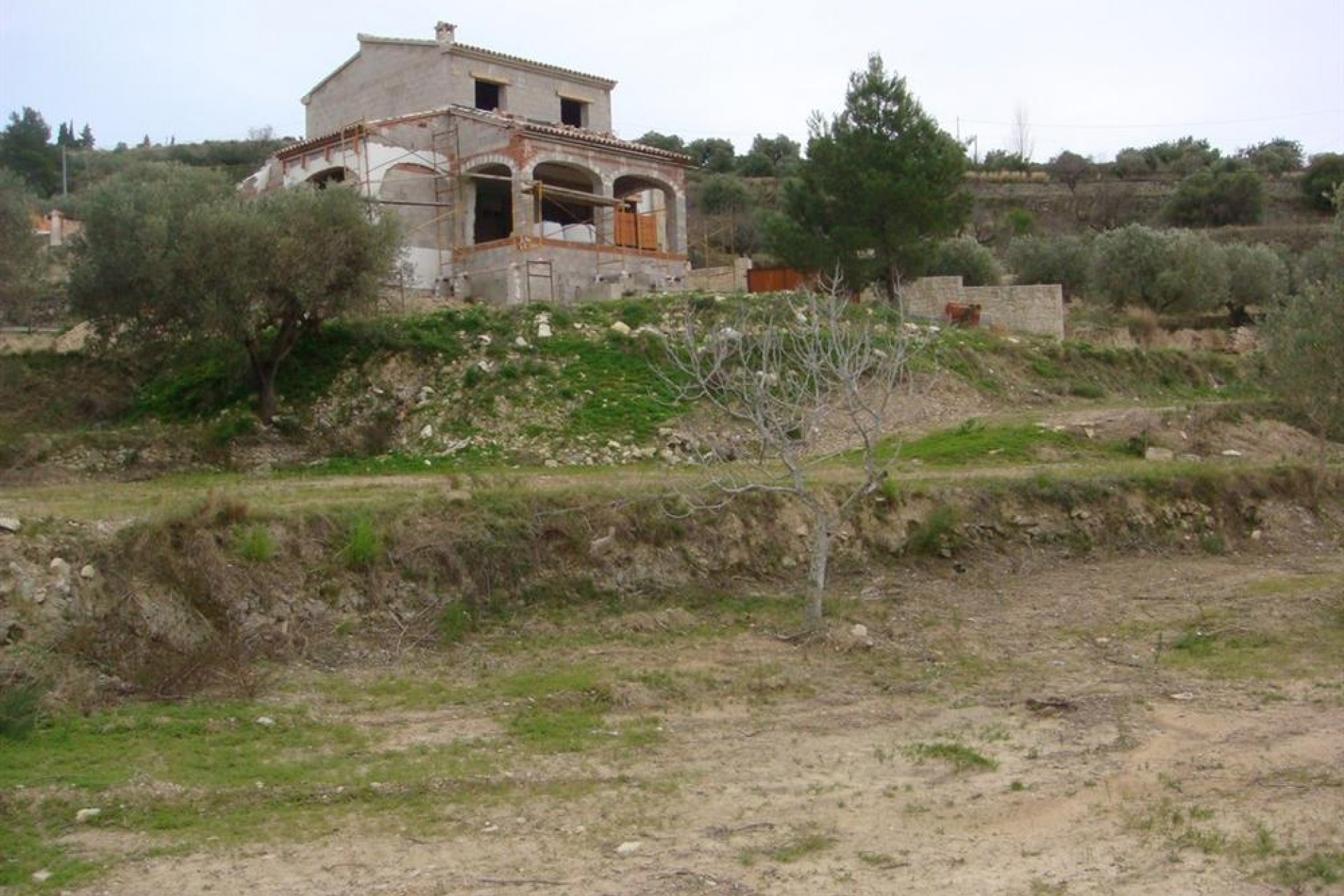 A Vendre - Finca / Propriété rurale -
Benissa