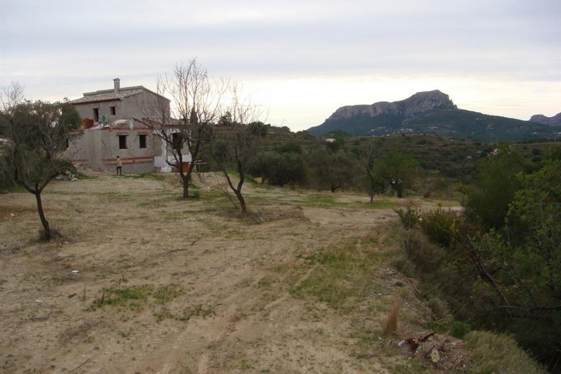A Vendre - Finca / Propriété rurale -
Benissa