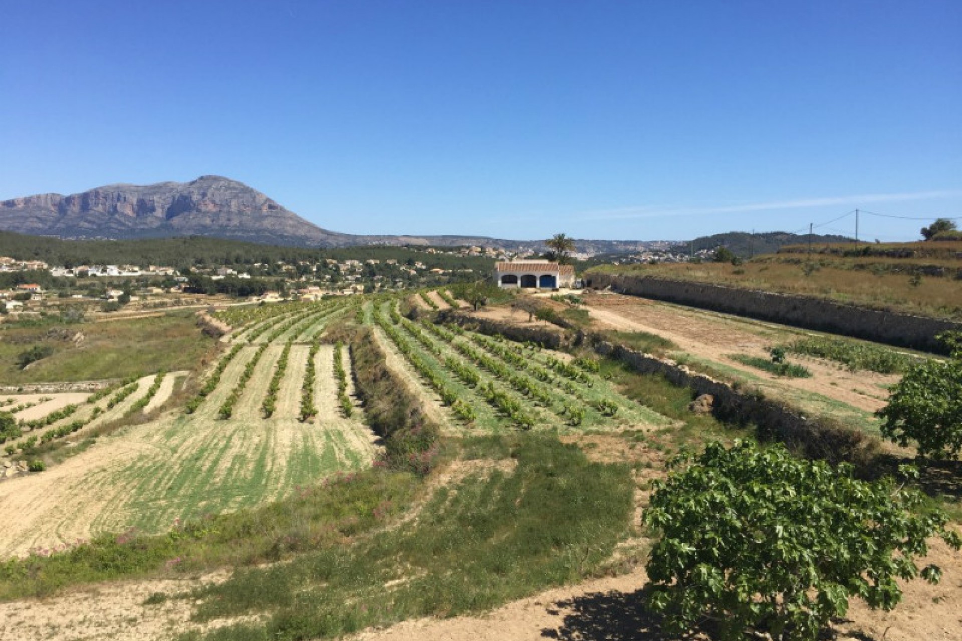 A Vendre - Finca / Propriété rurale -
Benitachell