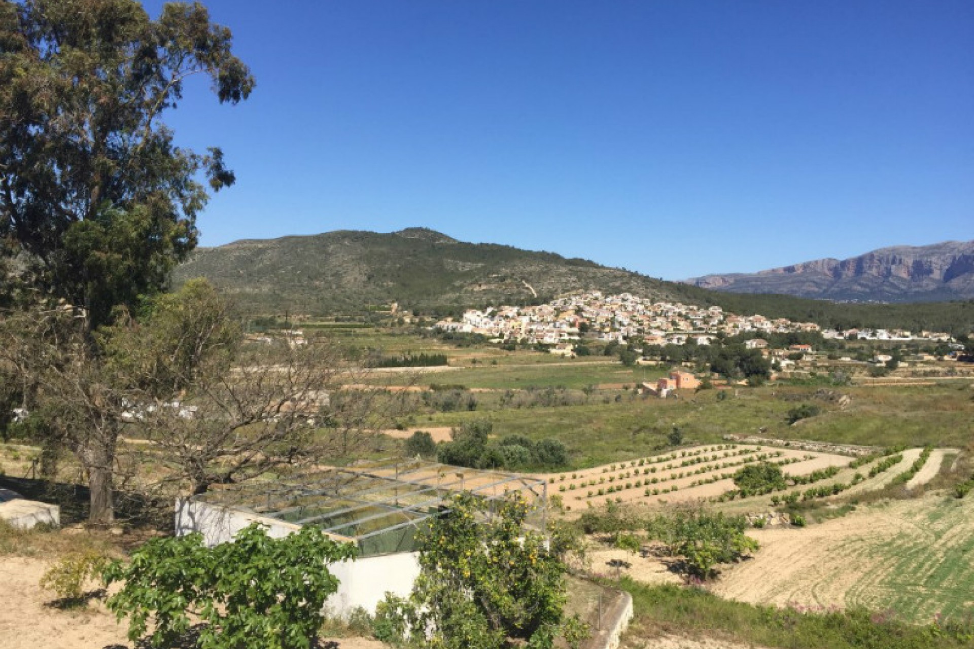 A Vendre - Finca / Propriété rurale -
Benitachell