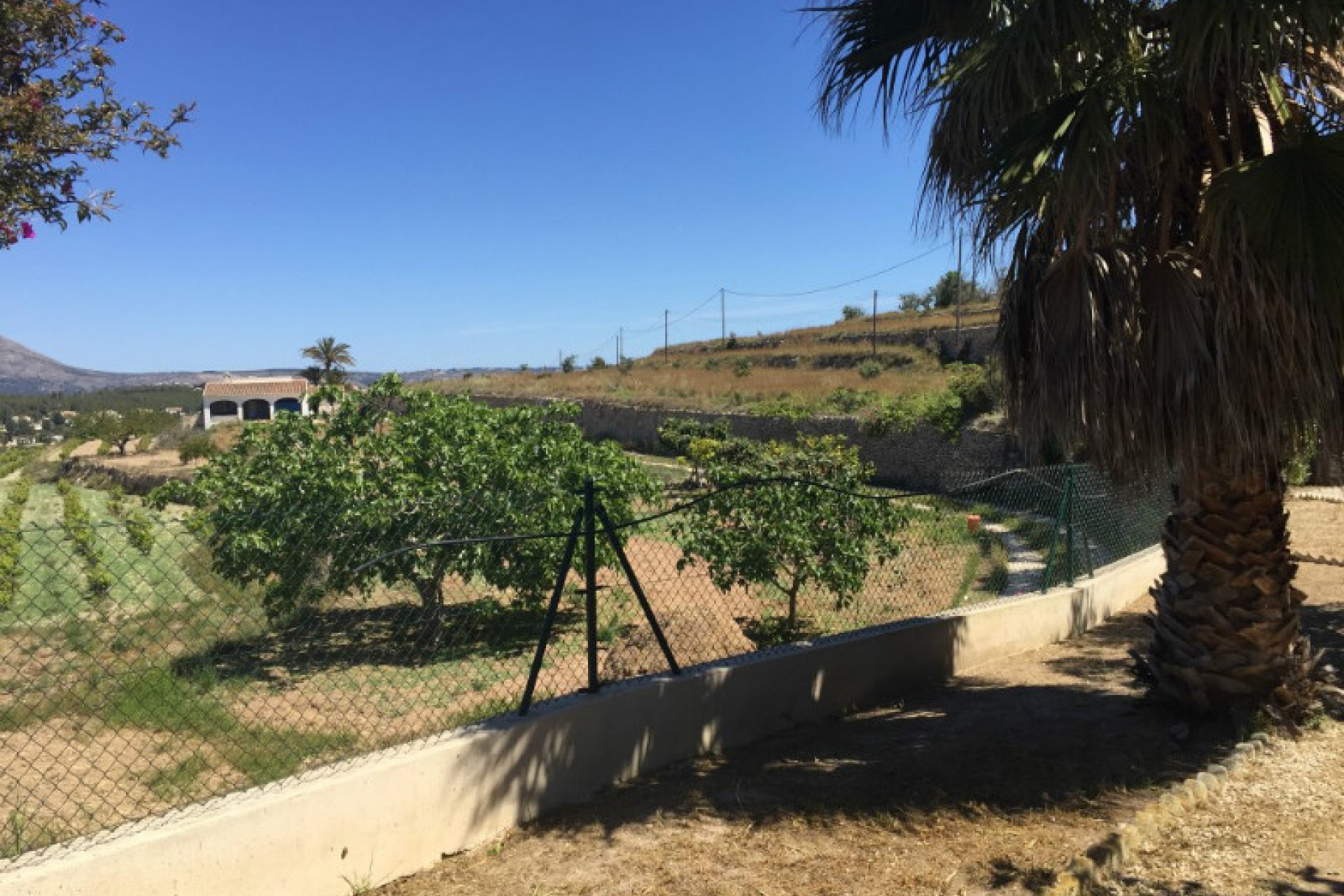A Vendre - Finca / Propriété rurale -
Benitachell