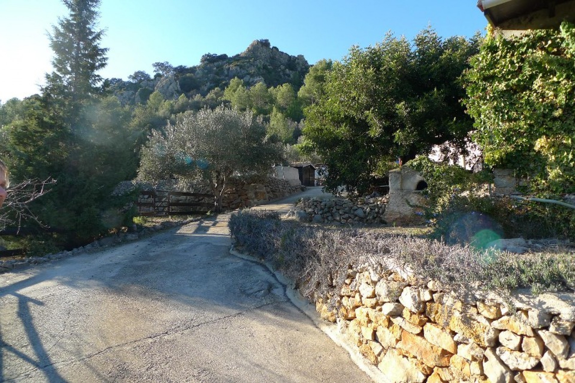 A Vendre - Finca / Propriété rurale -
Castell de Castells