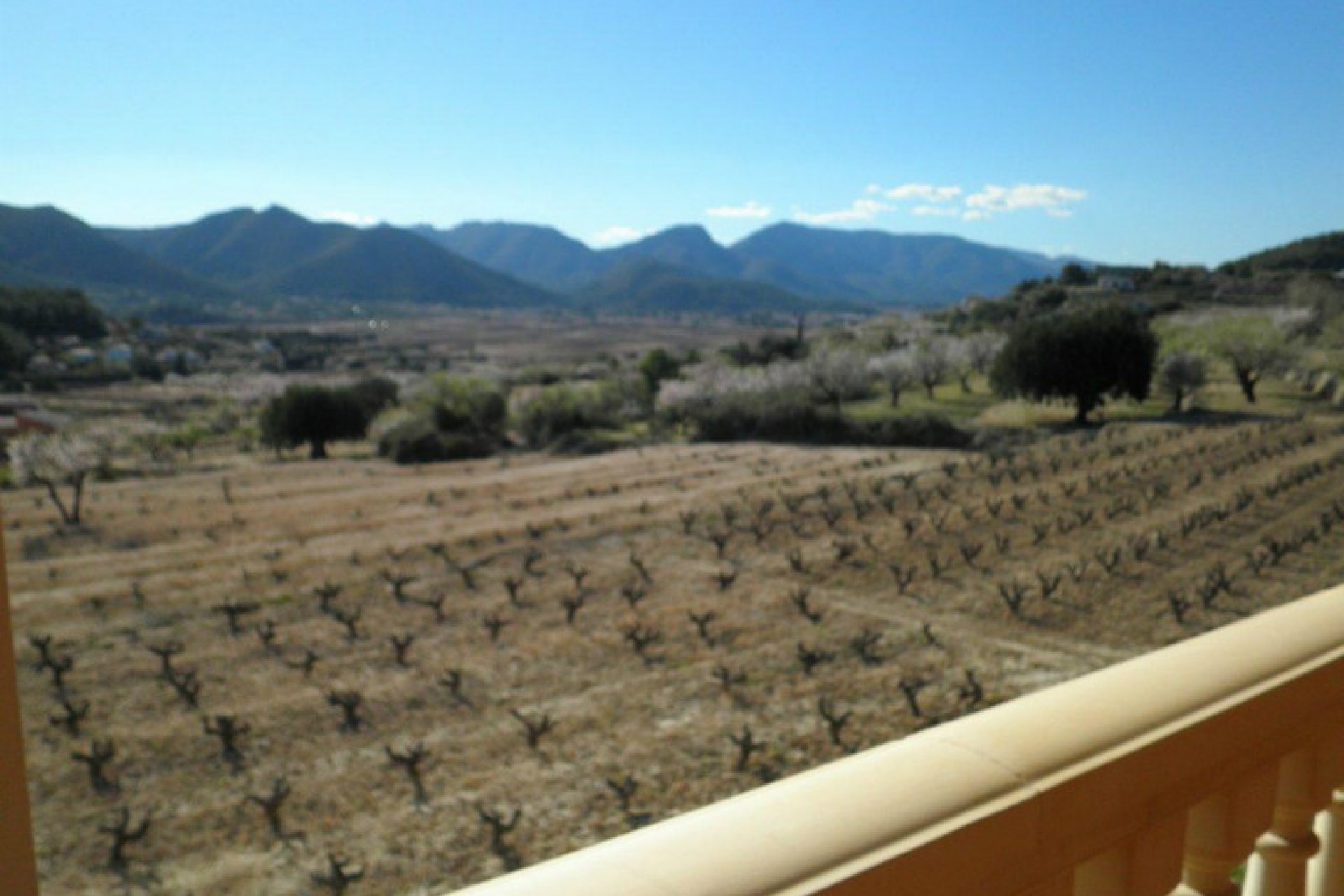 A Vendre - Finca / Propriété rurale -
Jalon