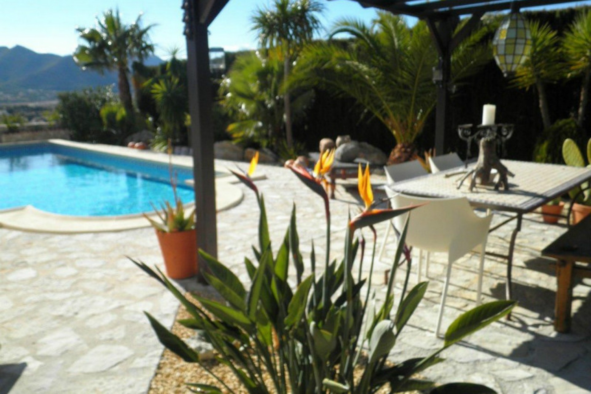 A Vendre - Finca / Propriété rurale -
Jalon