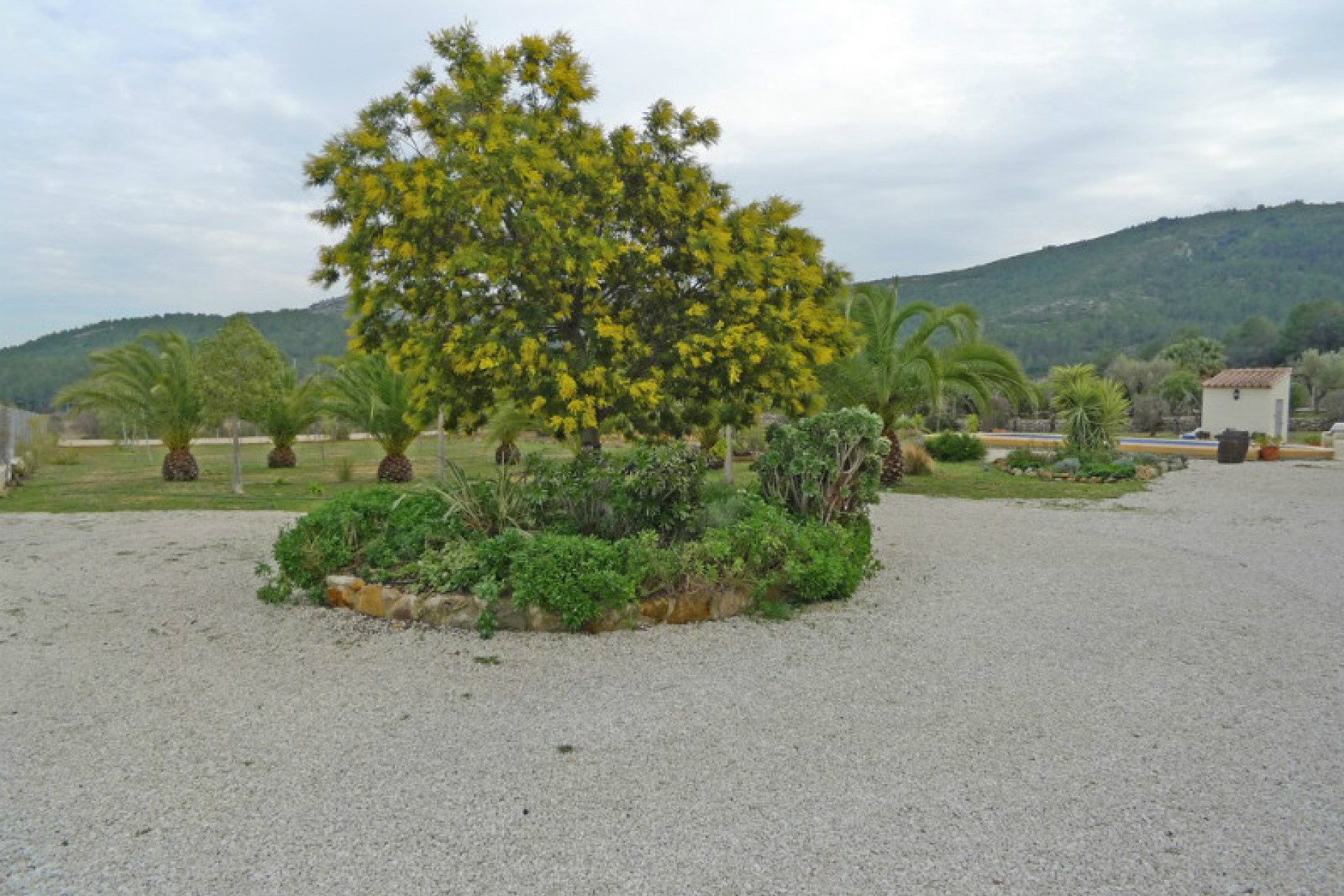 A Vendre - Finca / Propriété rurale -
Jalon