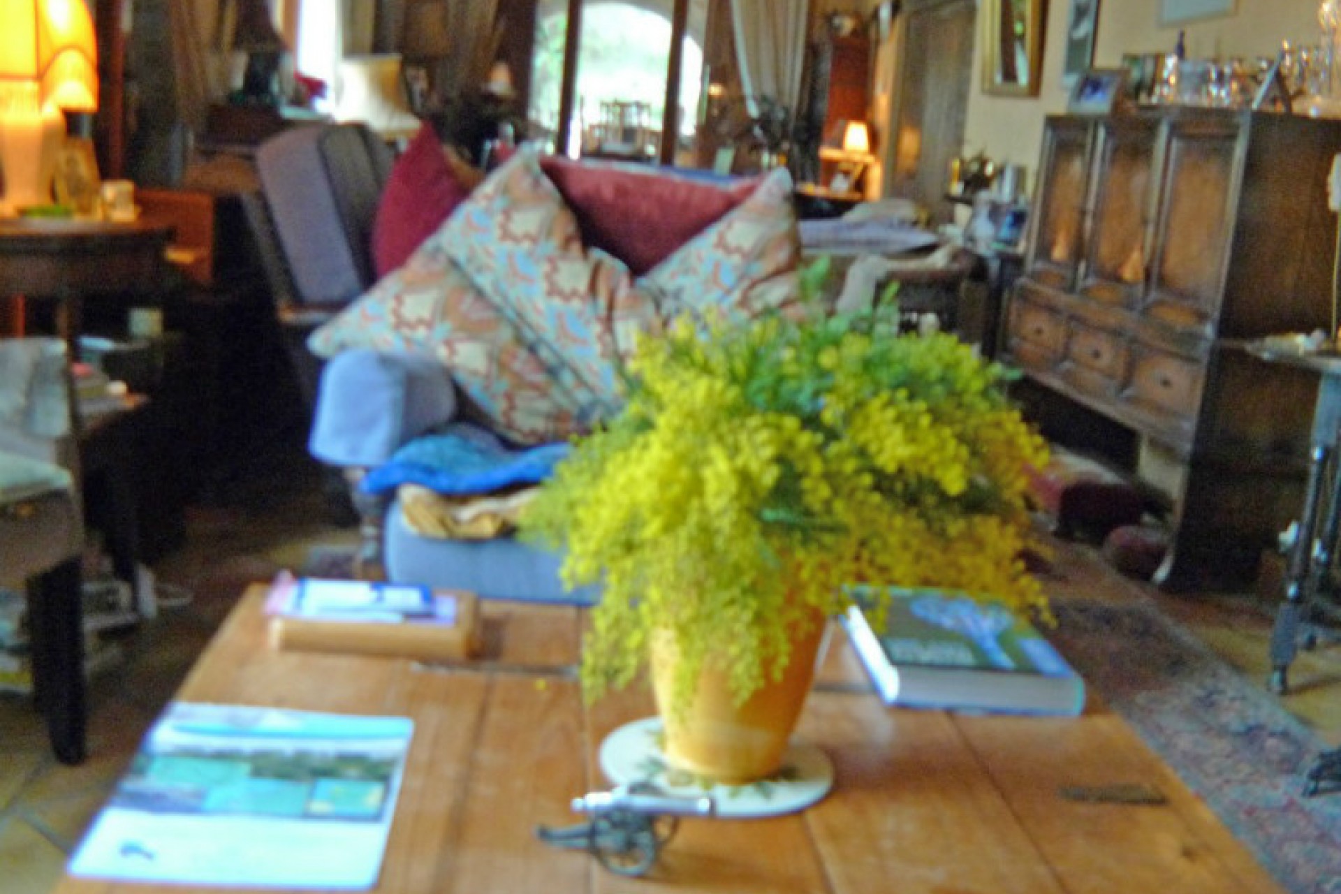A Vendre - Finca / Propriété rurale -
Jalon