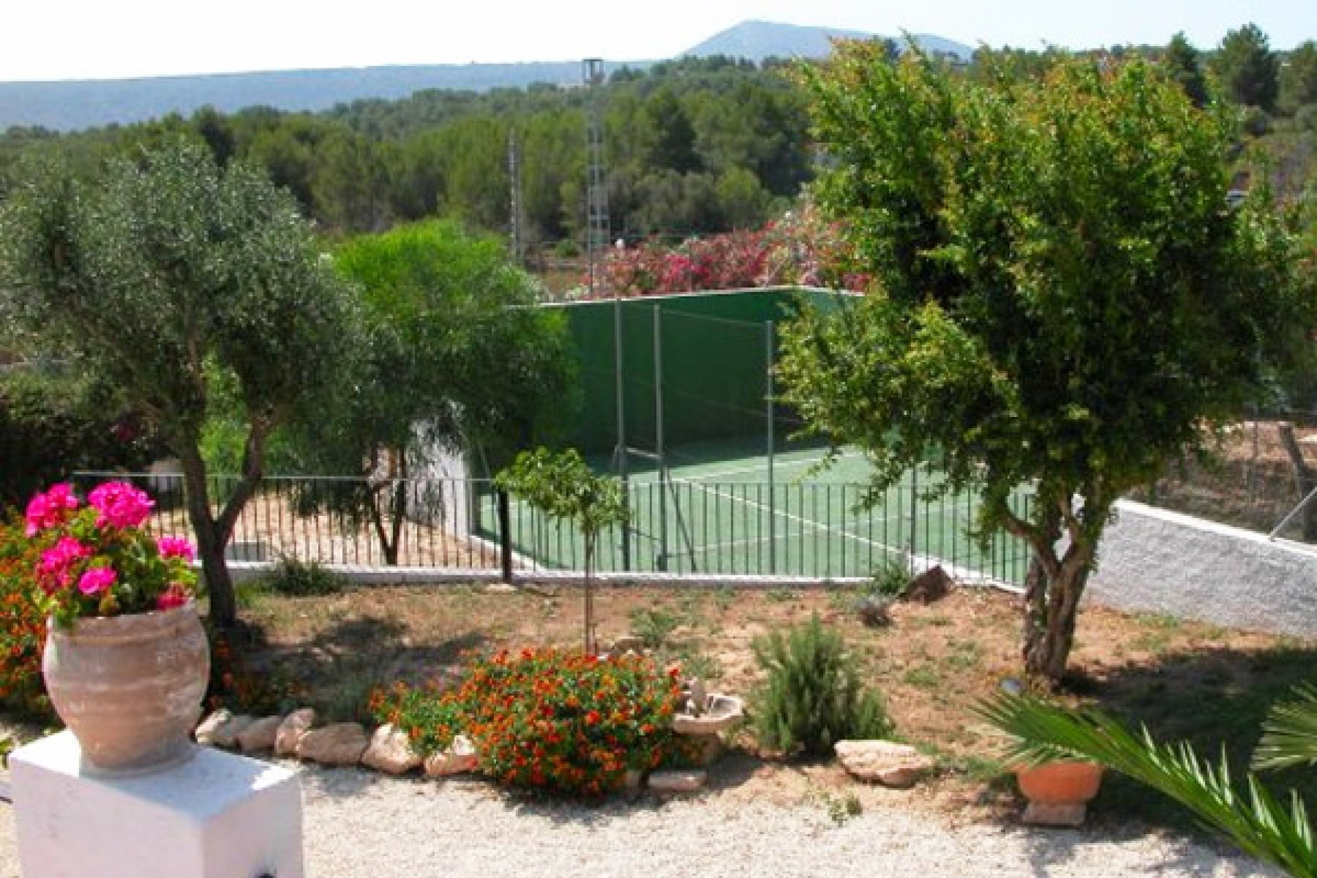 A Vendre - Finca / Propriété rurale -
Javea