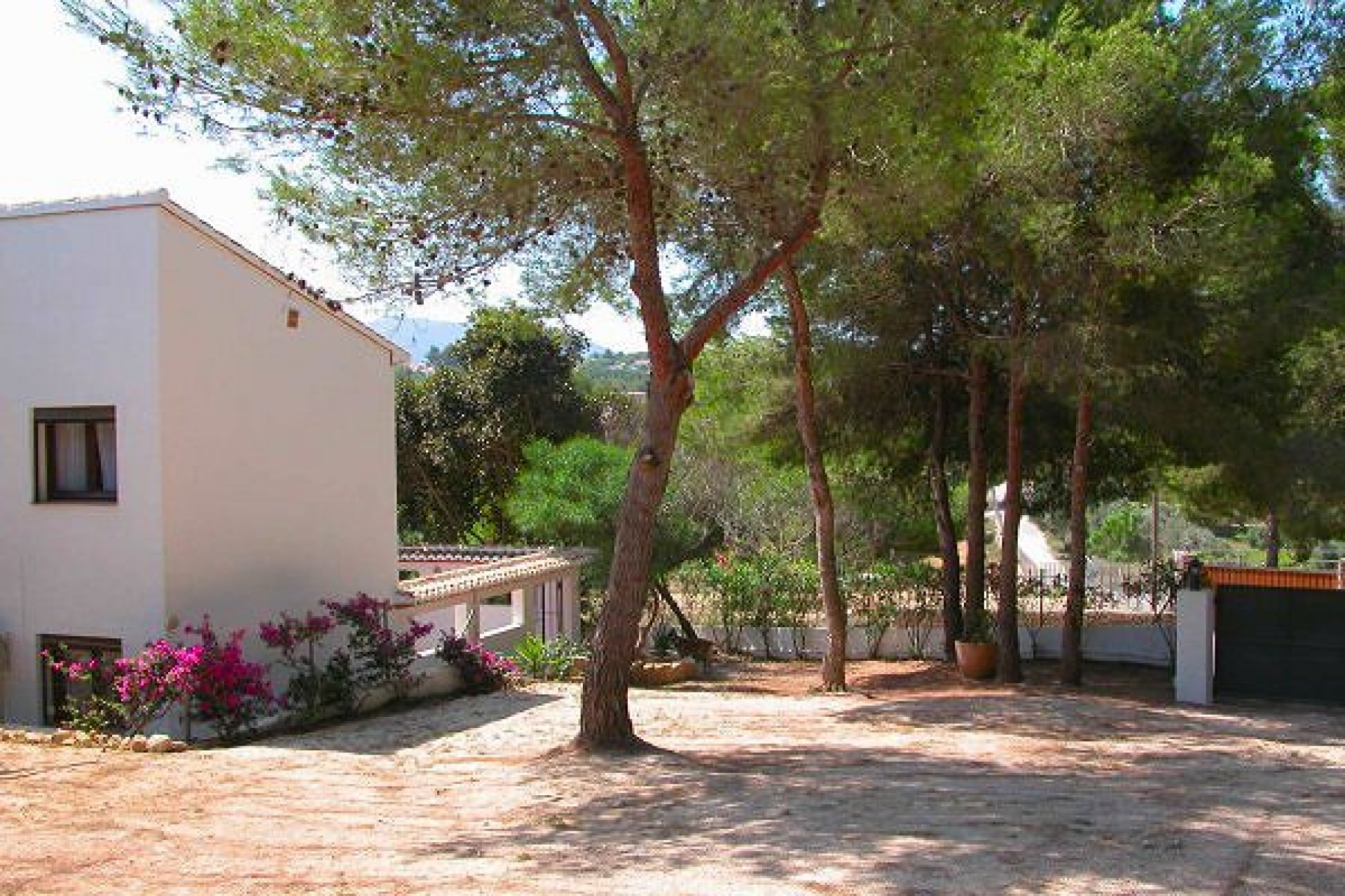 A Vendre - Finca / Propriété rurale -
Javea