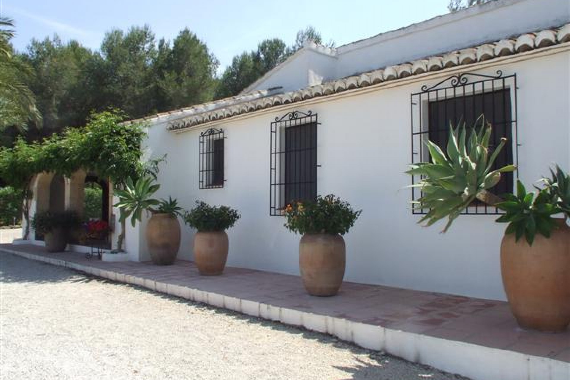 A Vendre - Finca / Propriété rurale -
Javea
