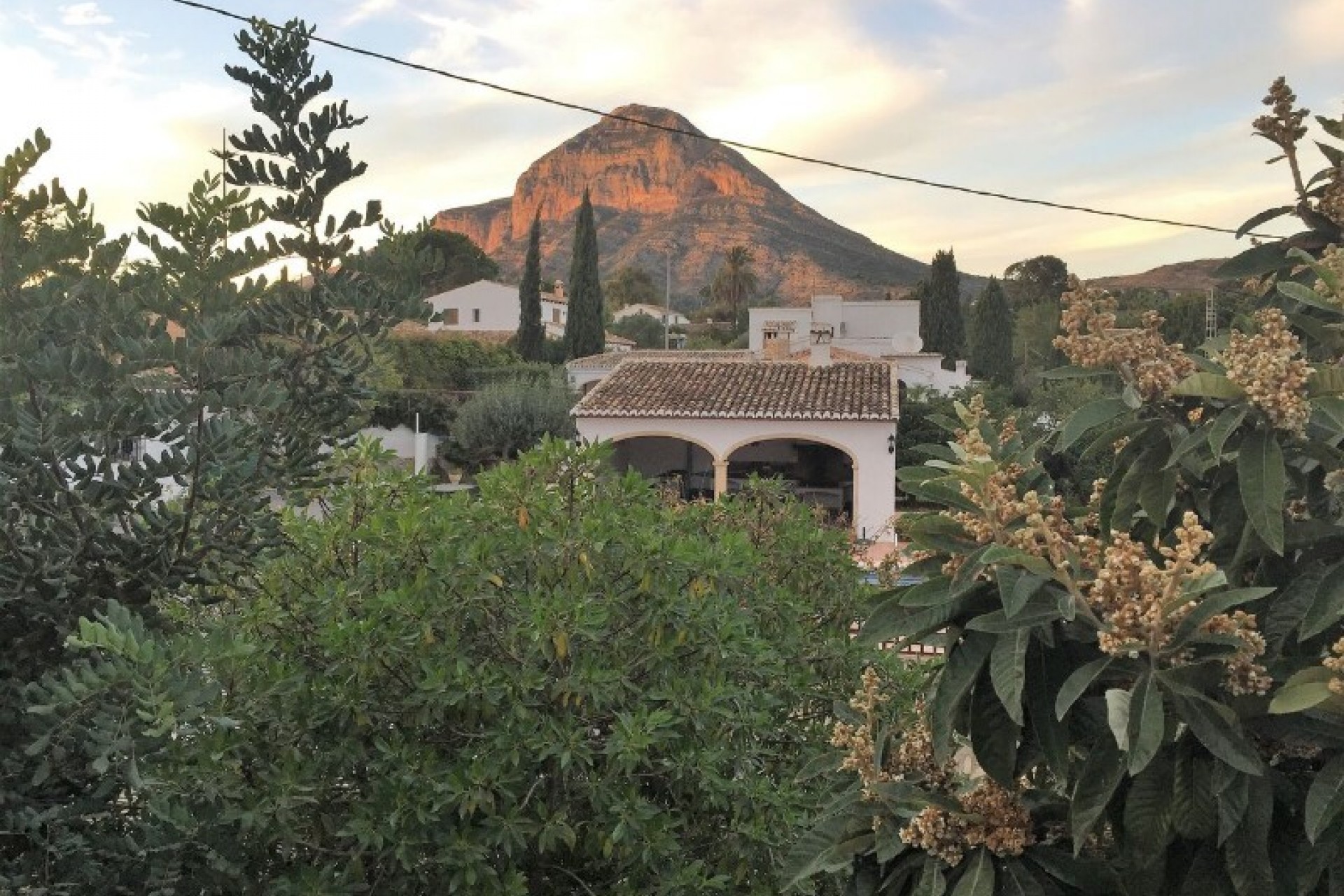 A Vendre - Finca / Propriété rurale -
Javea