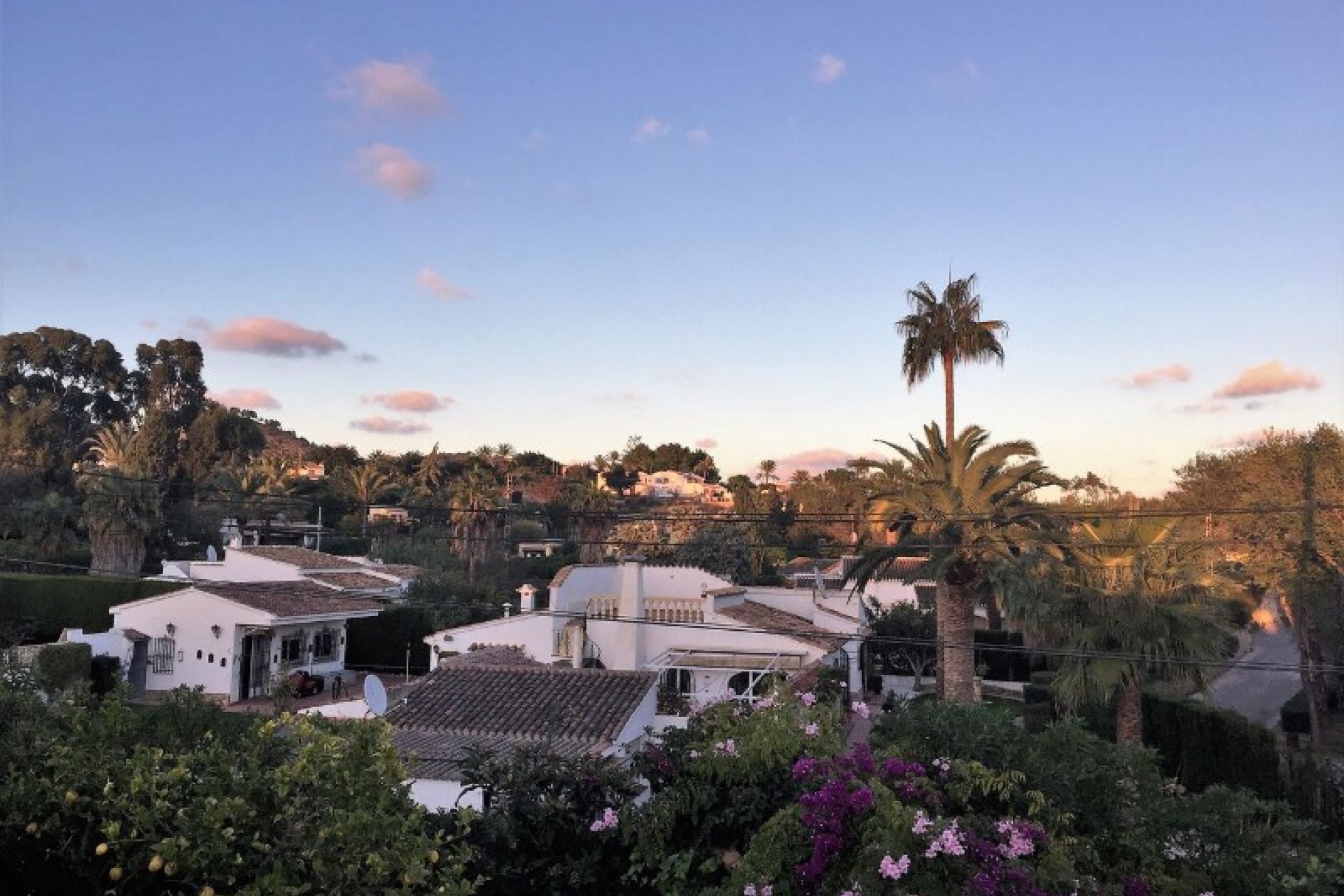 A Vendre - Finca / Propriété rurale -
Javea