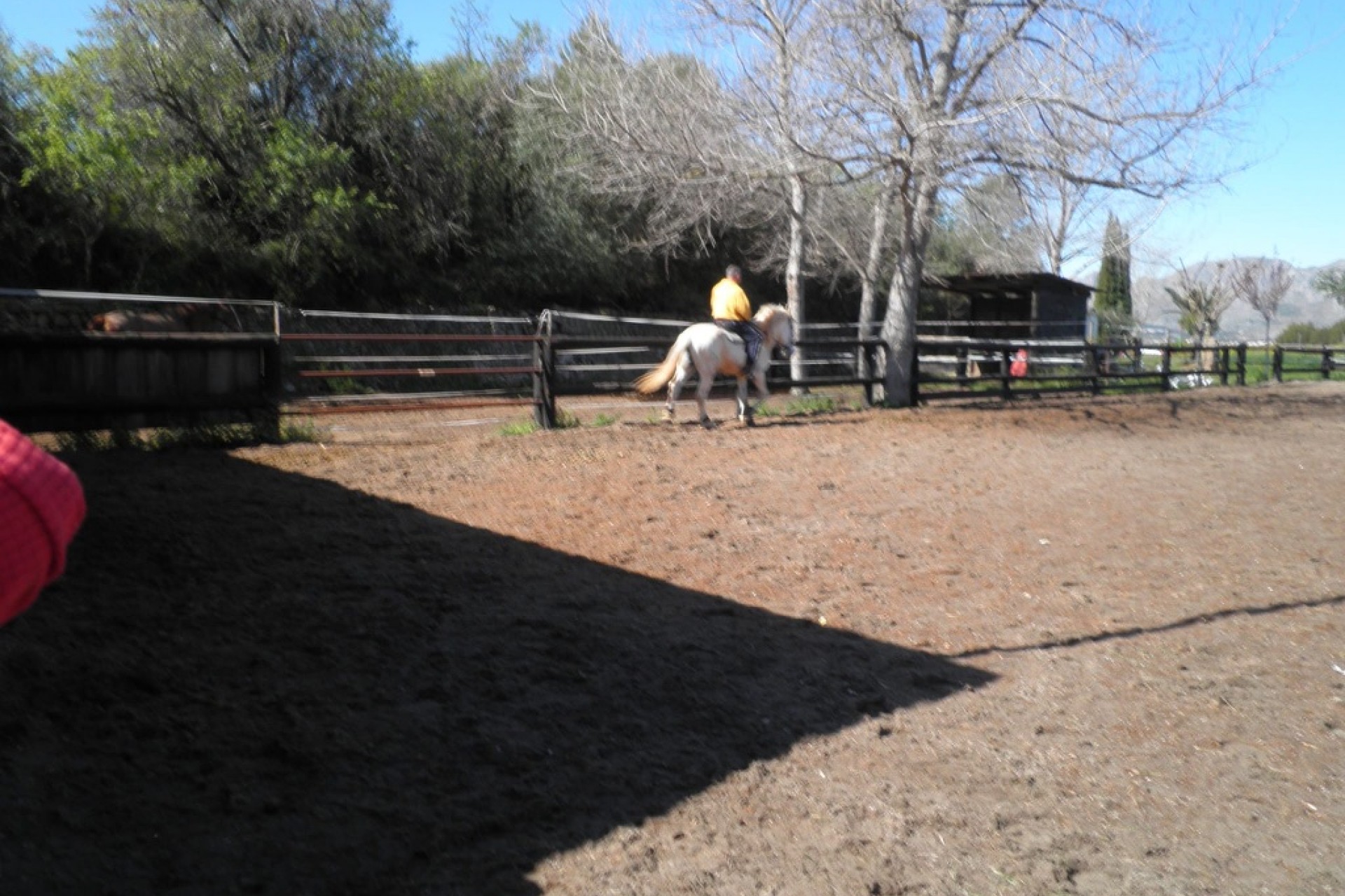 A Vendre - Finca / Propriété rurale -
La Xara - Benimaquia