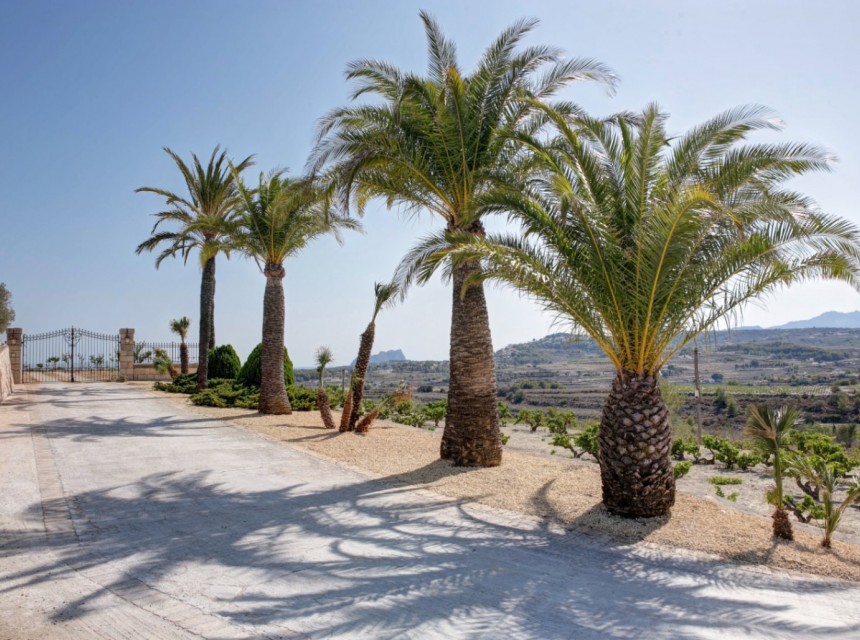 A Vendre - Finca / Propriété rurale -
Moraira - Campo