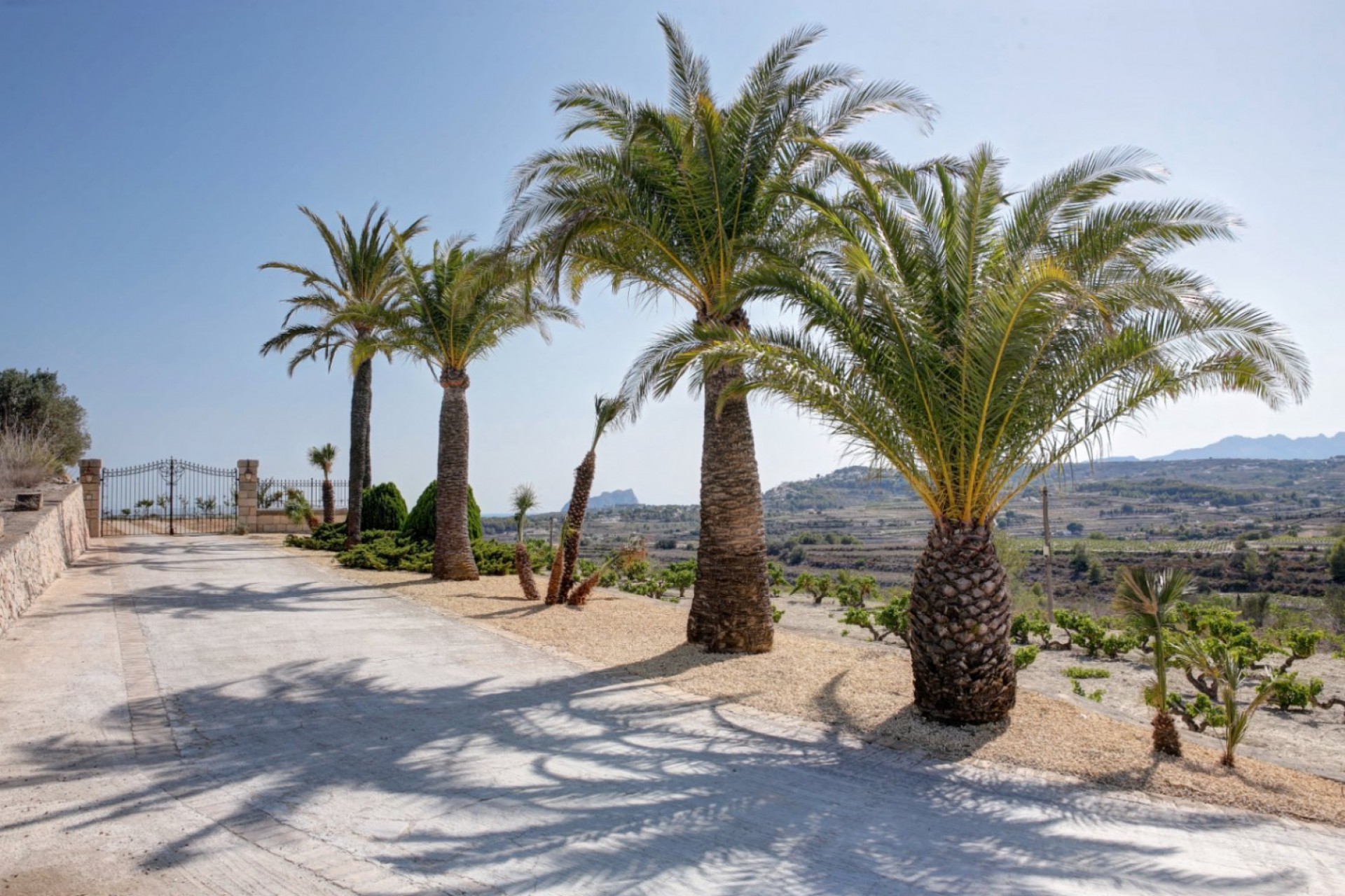 A Vendre - Finca / Propriété rurale -
Moraira - Campo