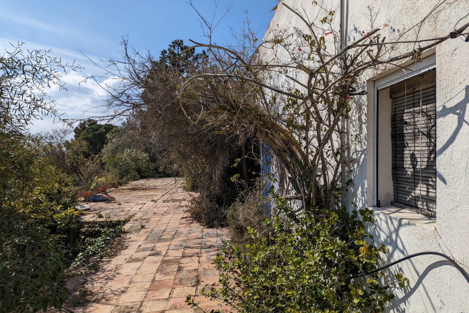 A Vendre - Finca / Propriété rurale -
Moraira - Coma de los Frailes