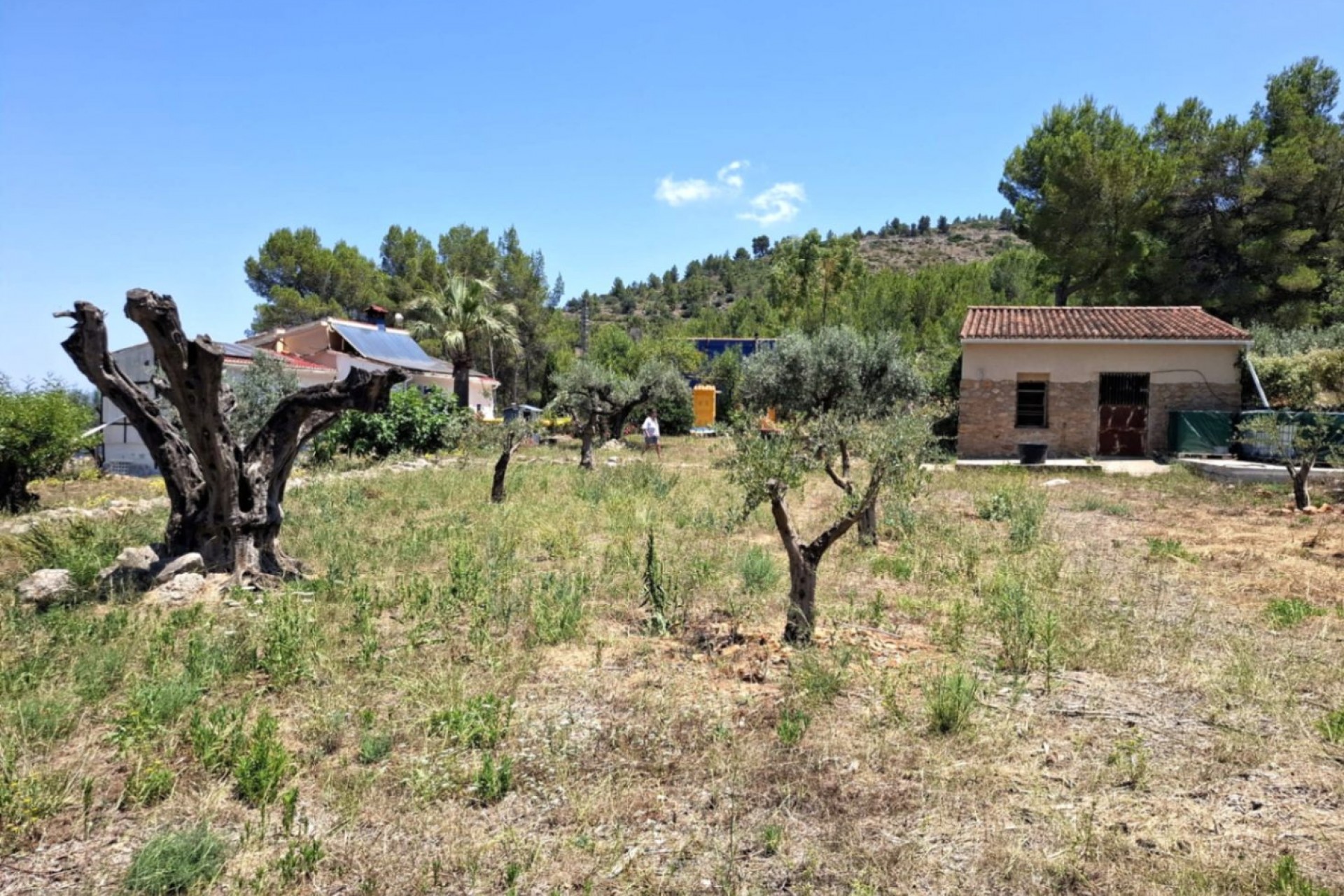 A Vendre - Finca / Propriété rurale -
Parcent