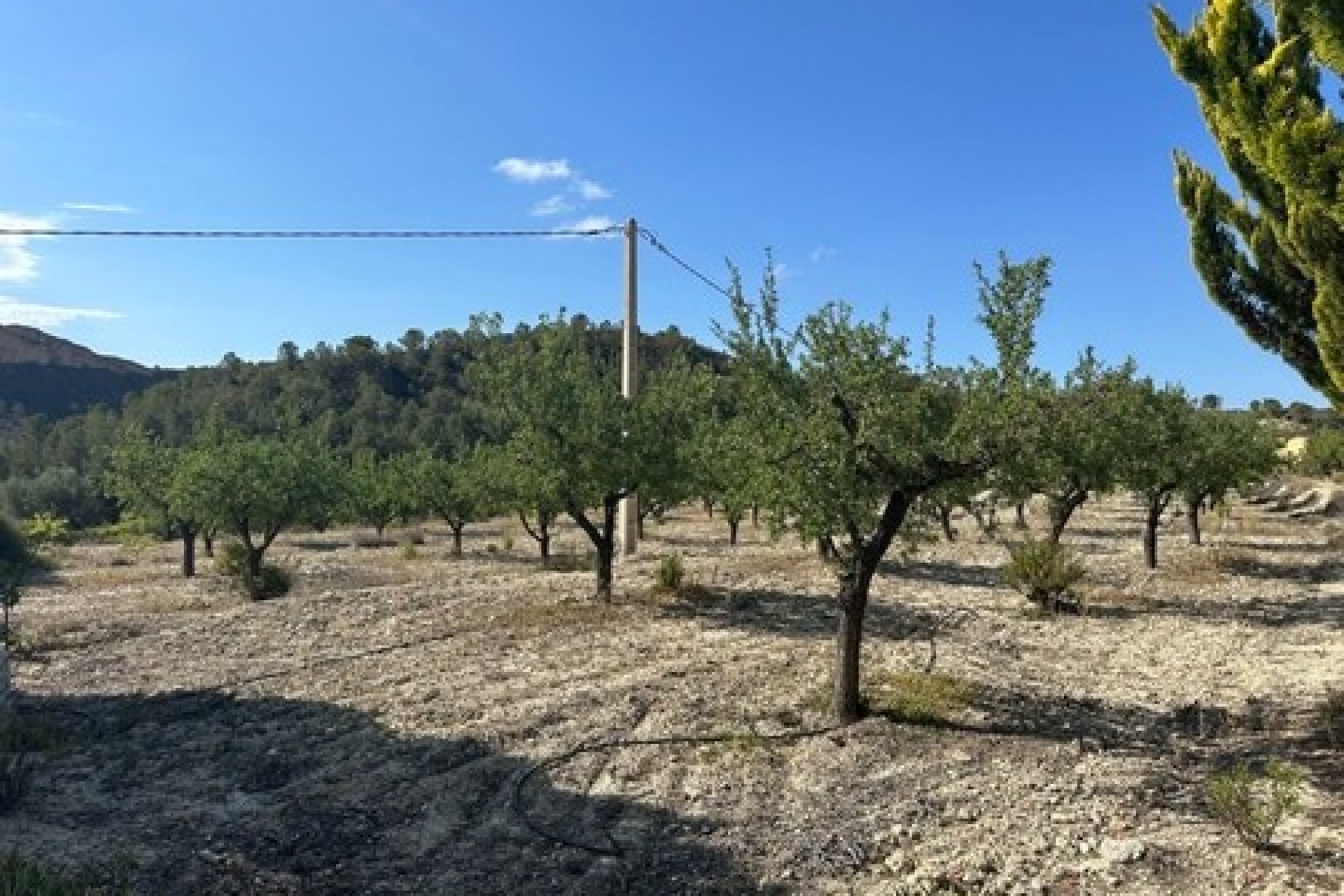 A Vendre - Finca / Propriété rurale -
Relleu